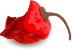 Chilli-single.png