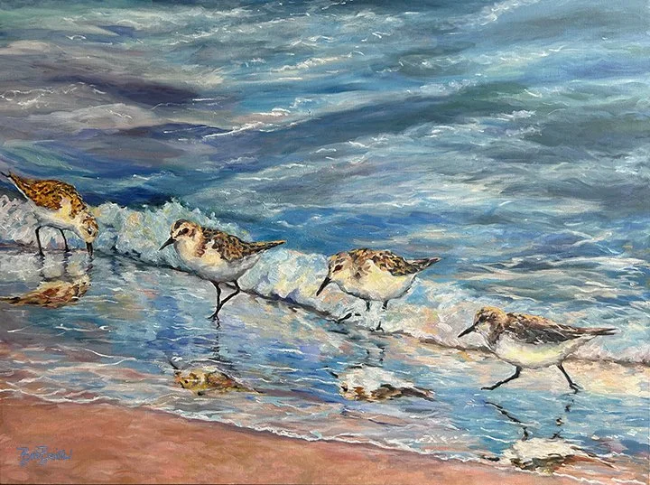 Everyone loves watching sandpipers chasing the waves