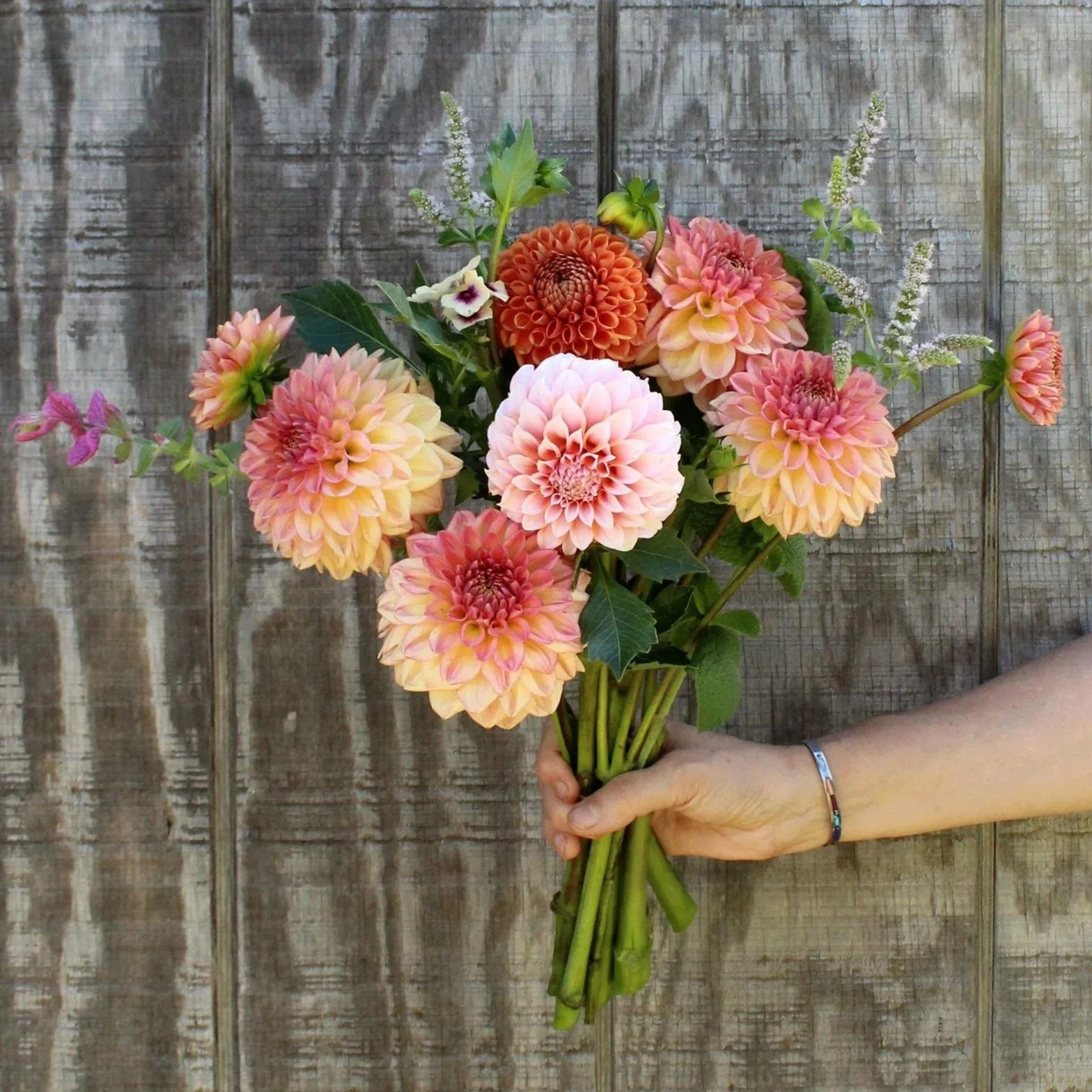 Dahlia-Bouquet-2-%282%29.jpg