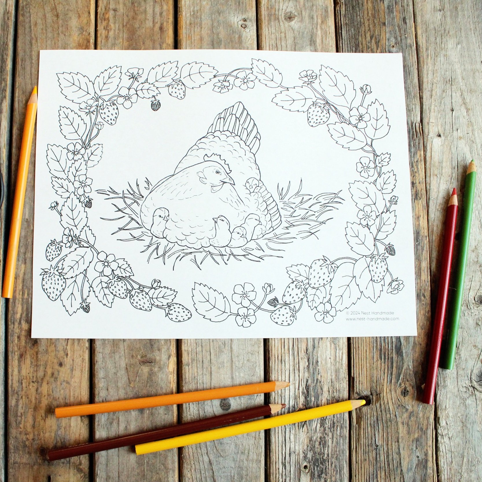 Downloadable Coloring Pages