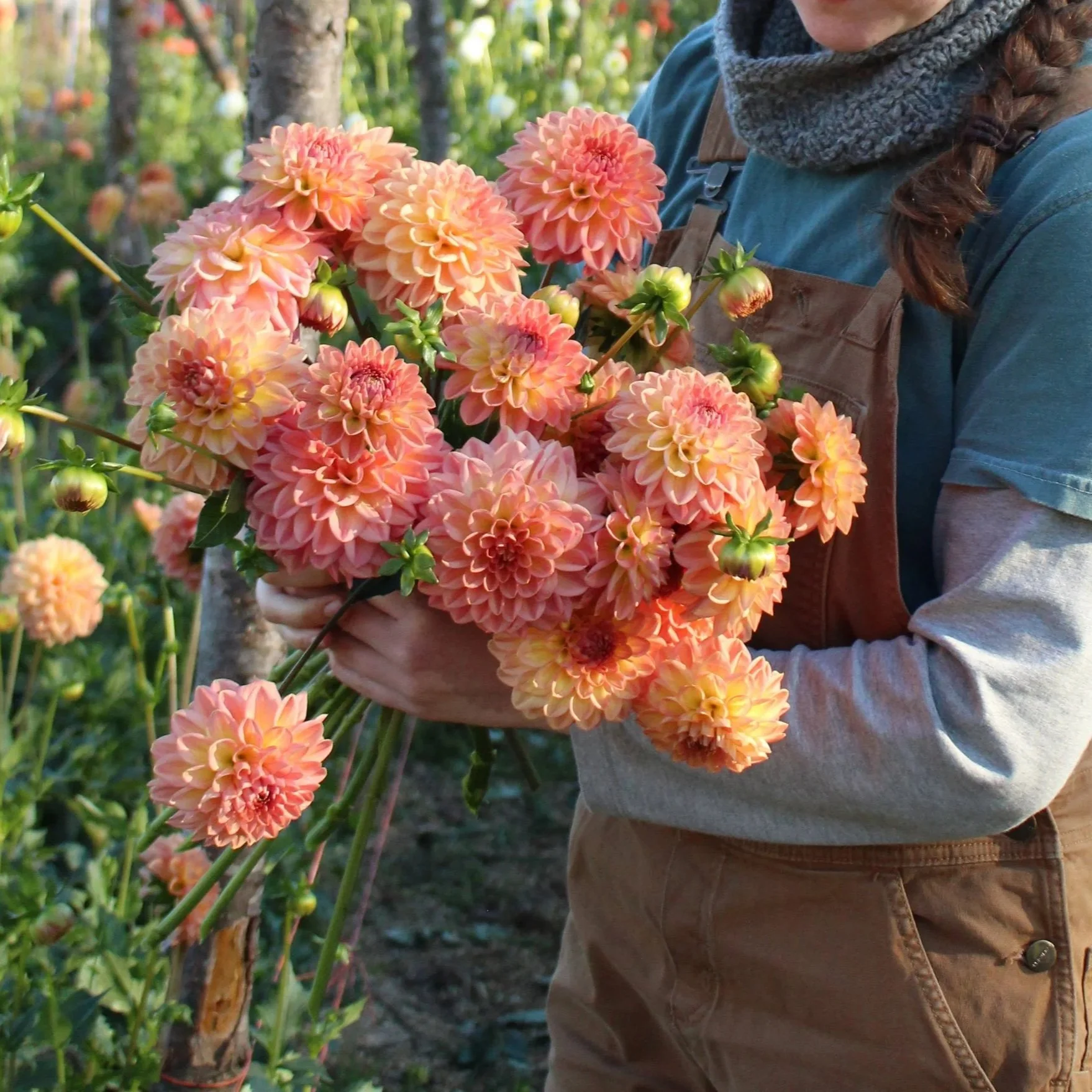flowers-3.jpg