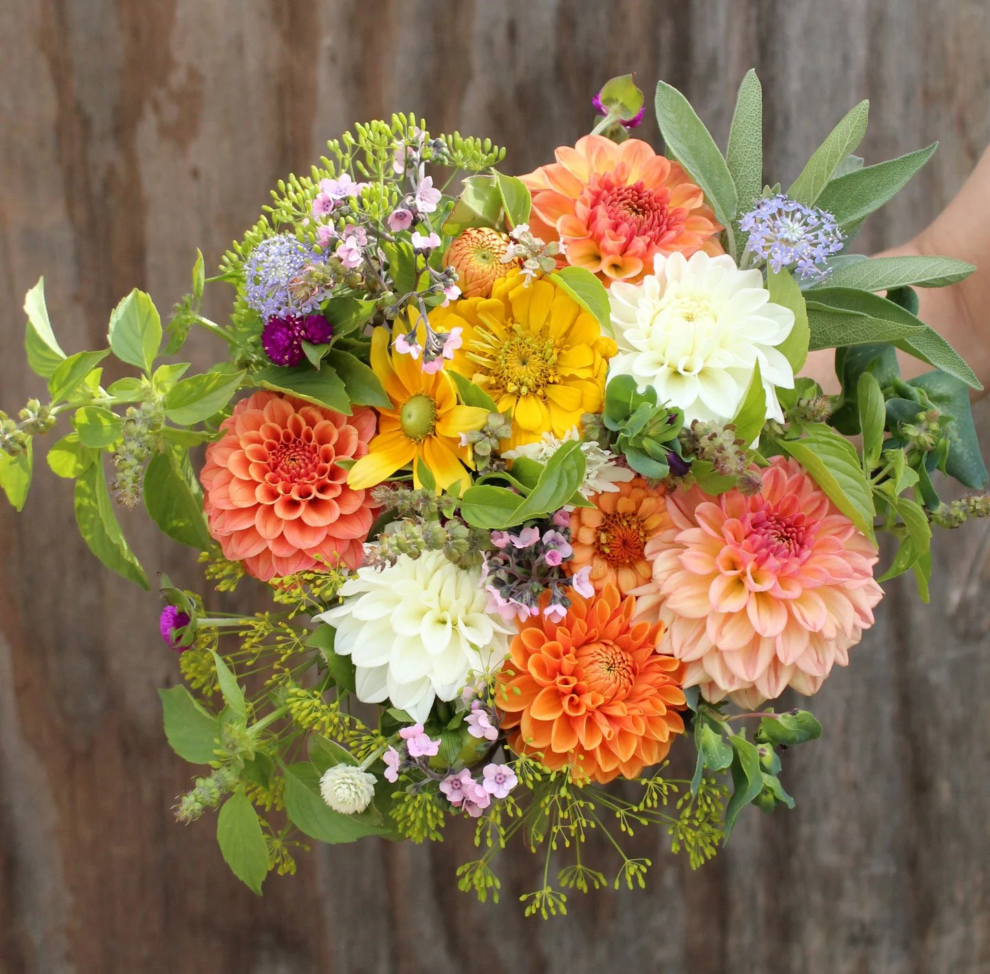 Flower-CSA-25.jpg