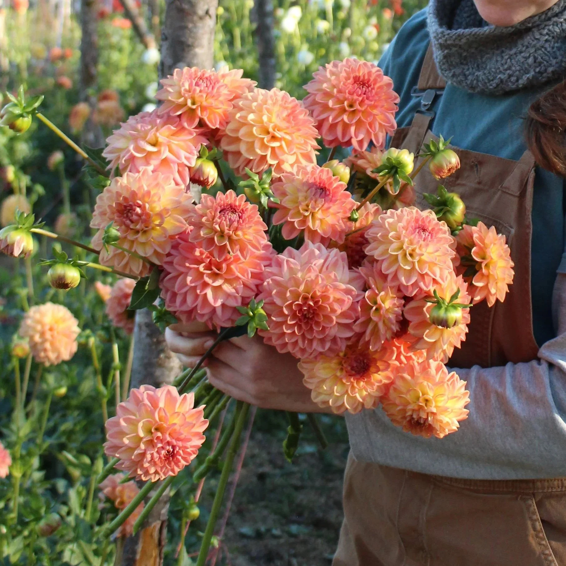 flowers-2.jpg