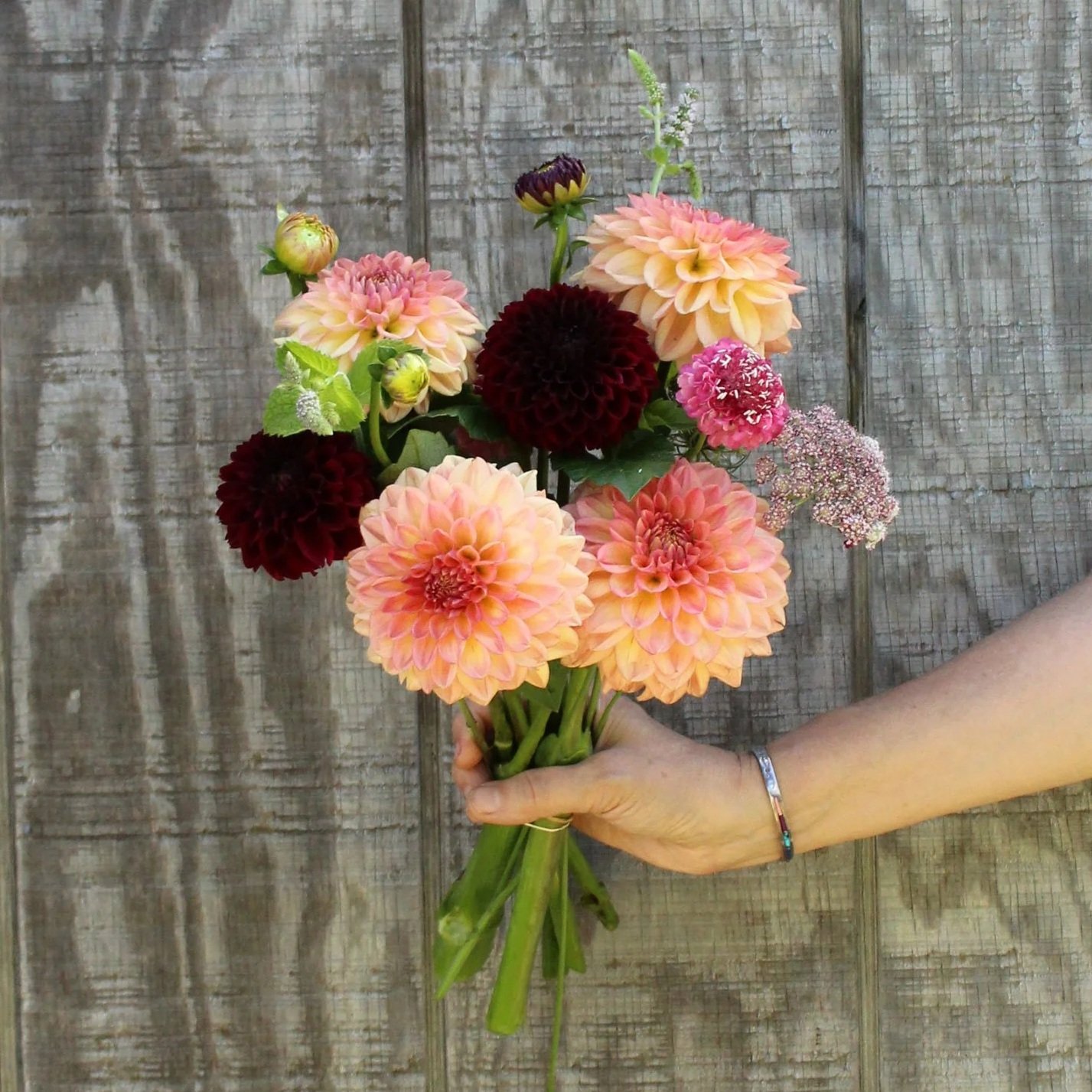 Dahlia-Bouquet-3.jpg