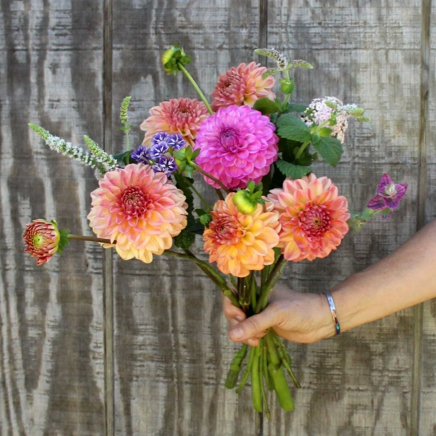 Dahlia-Bouquet-4-%281%29.jpg
