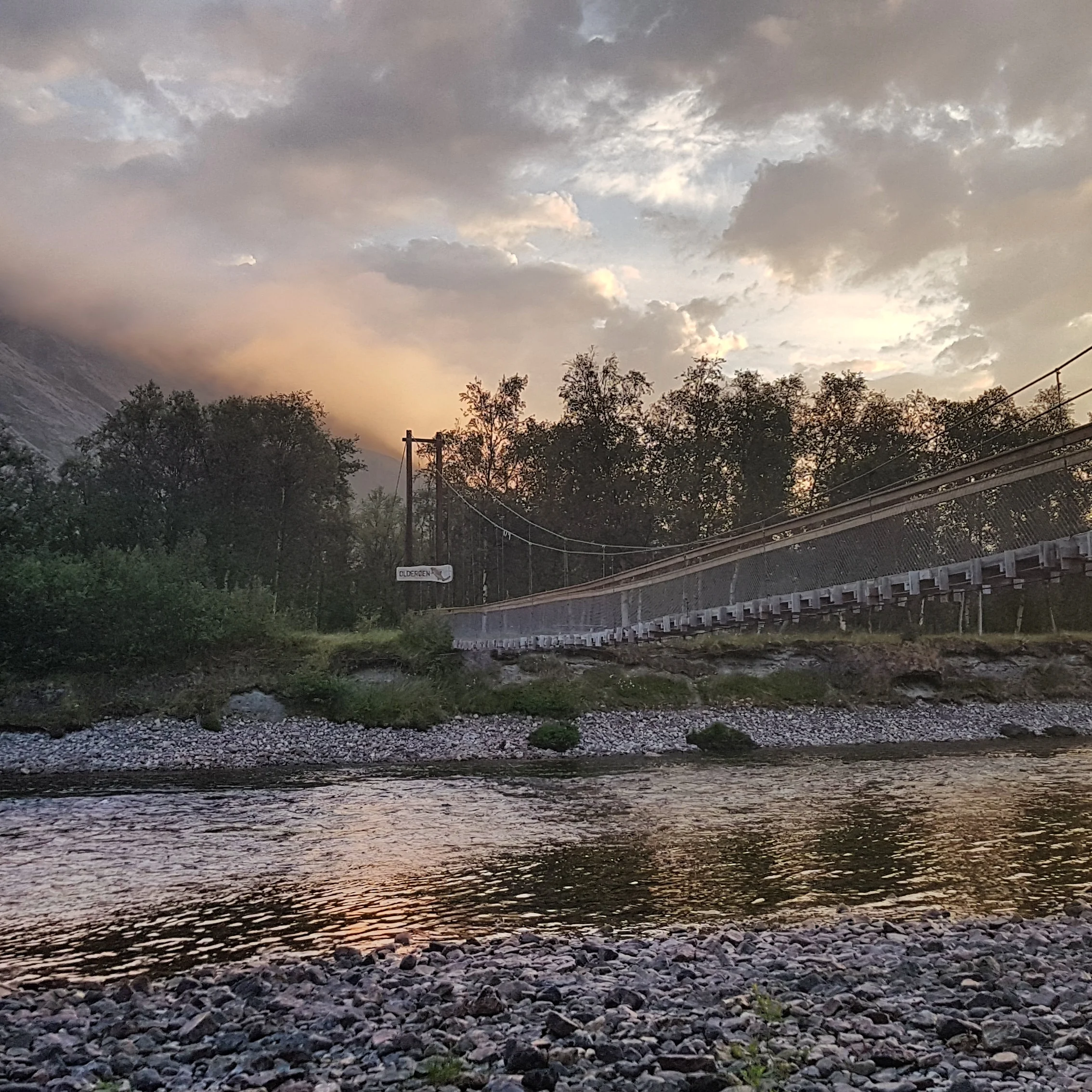 Week 28: Summer arrived