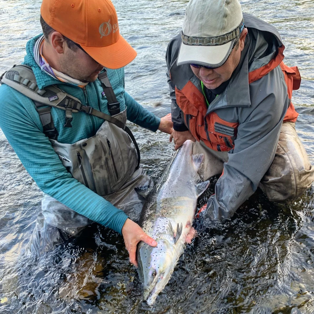 Week 29: Good beginning