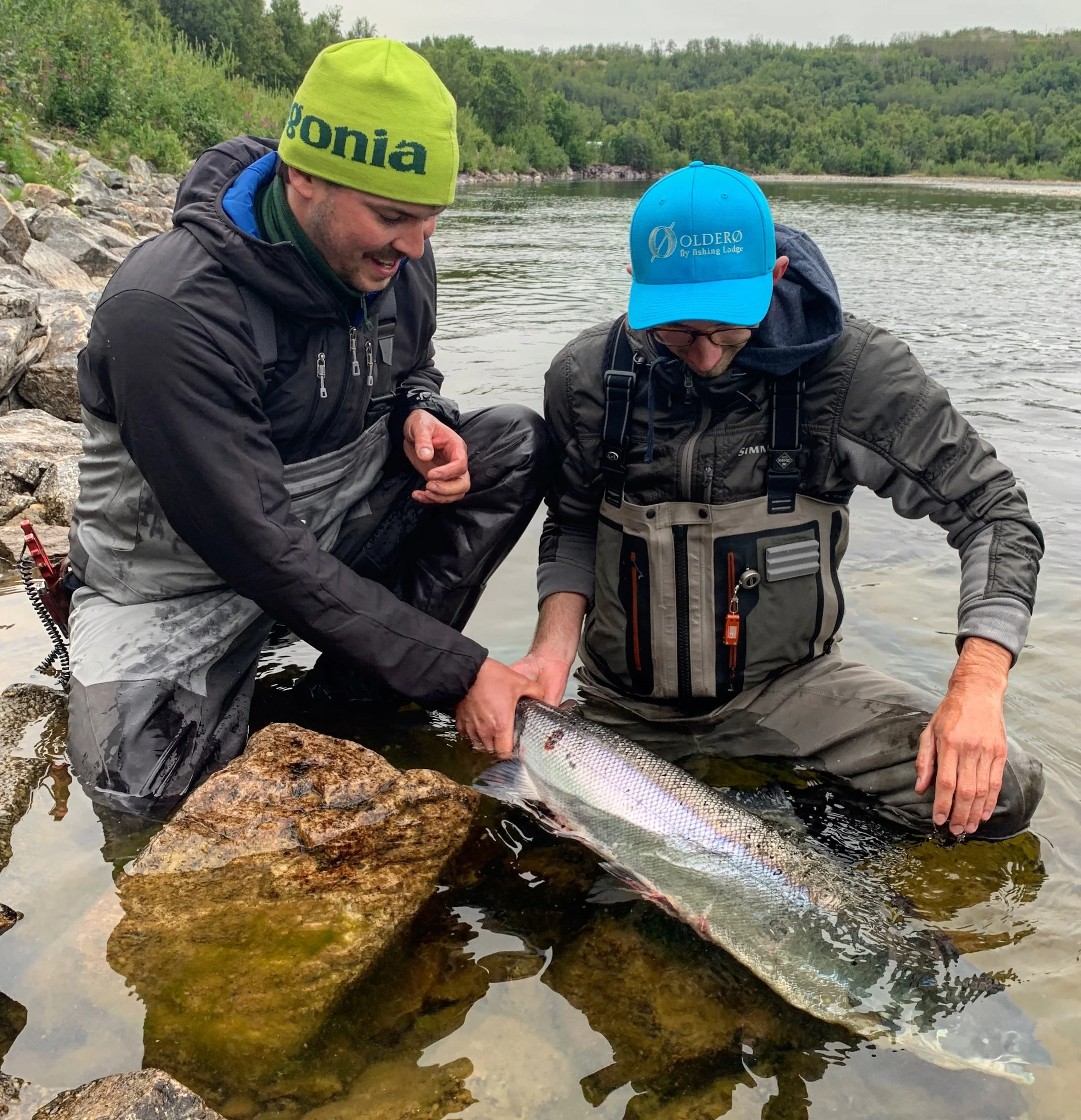 Week 31/32: First big fish at Bakery