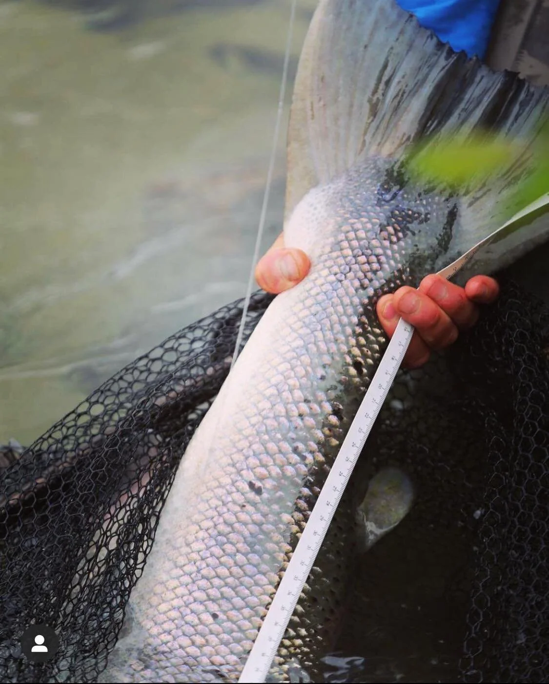 NORWAY REOPEN BORDERS FOR SCANDINAVIA