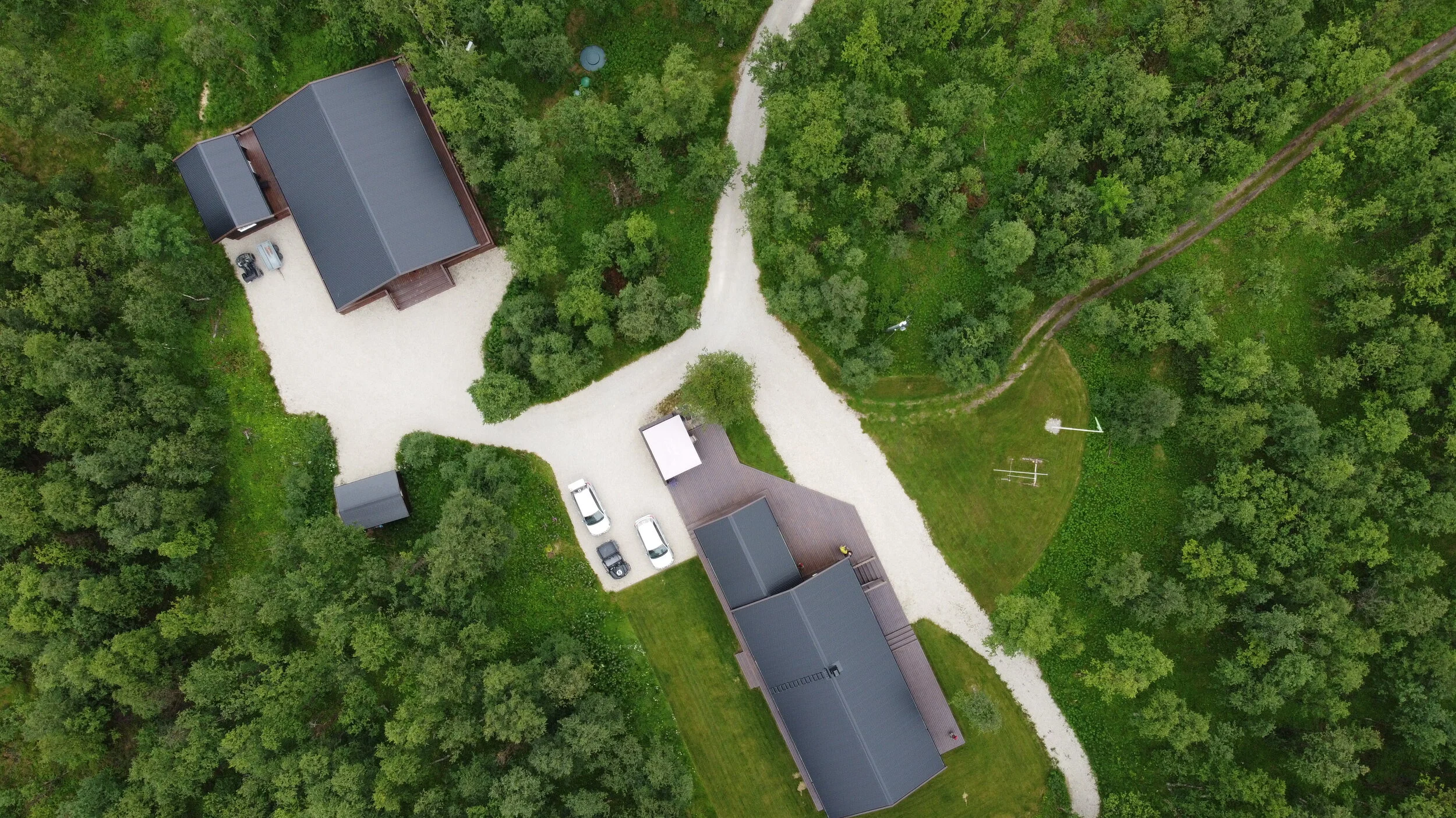 Week 31 : Summer arrived 