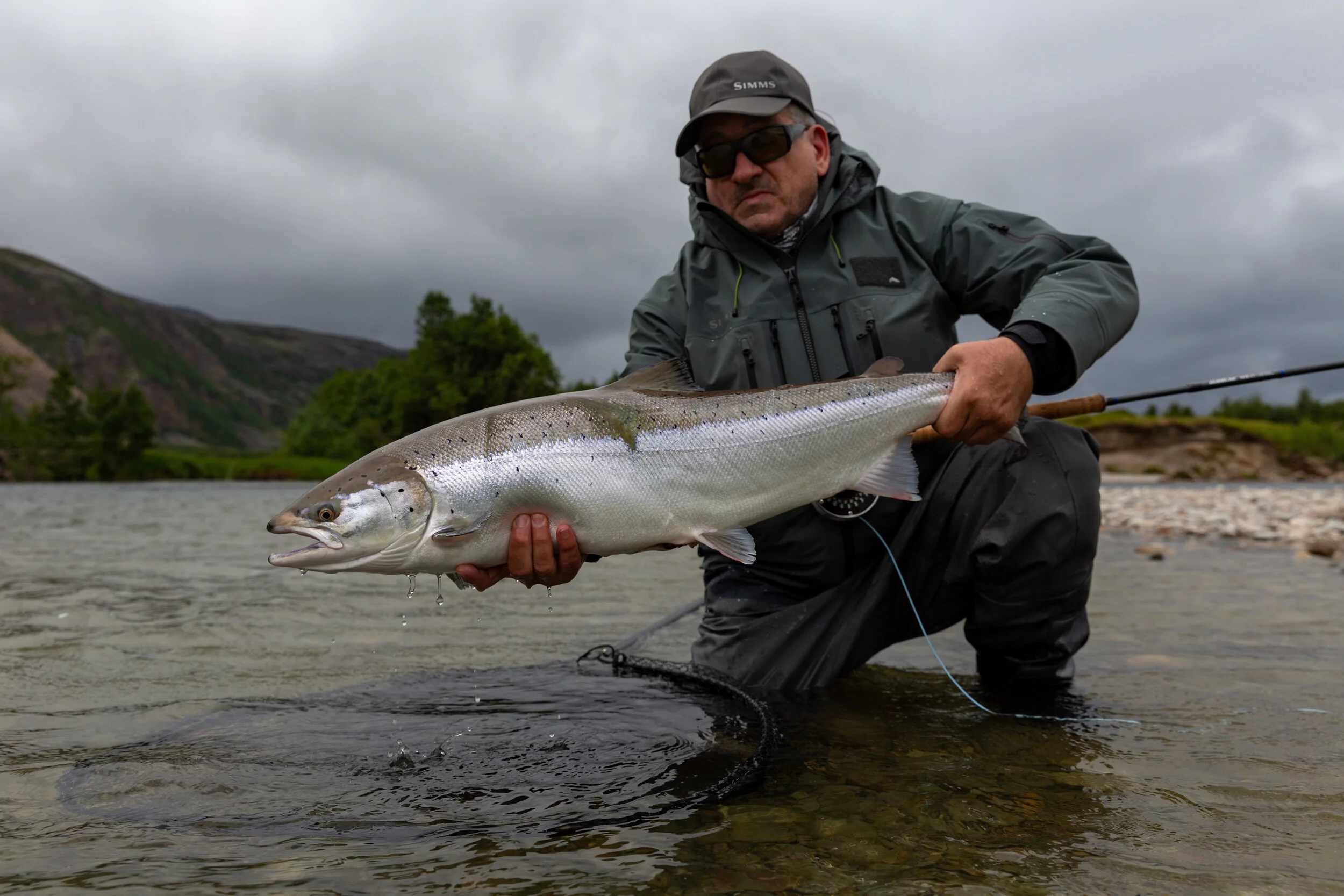 Week 29 - Big fish week