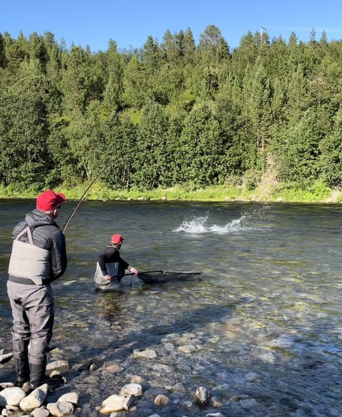 Week 31 Fish in all our beats