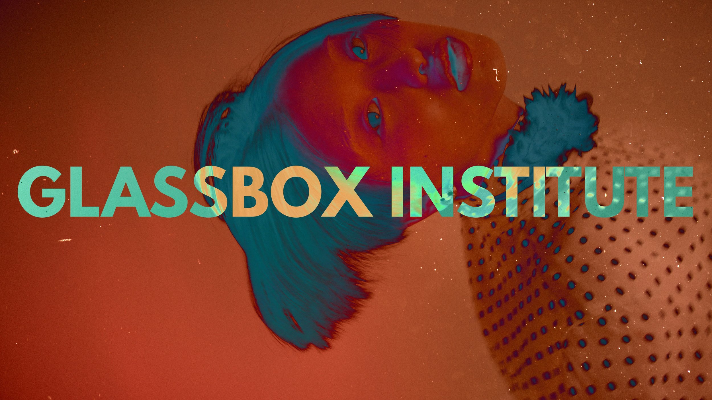 The Insitute
