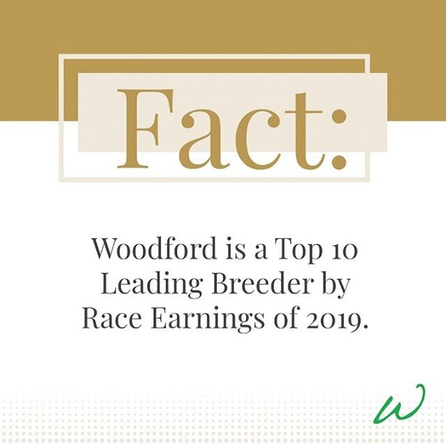 The Woodford Year in Review.

From MG1W Midnight Bisou to extraordinary two-year-old stakes winners, #WoodfordBred runners made their mark in Thoroughbred racing in 2019.

We are honored to be the eighth Leading Breeder by Race Earnings in 2019, according to The Blood-Horse.

We've consistently moved up the ranks the past several years and look forward to continuing to breed the best in 2020!

#WoodfordEdge #YearinReview