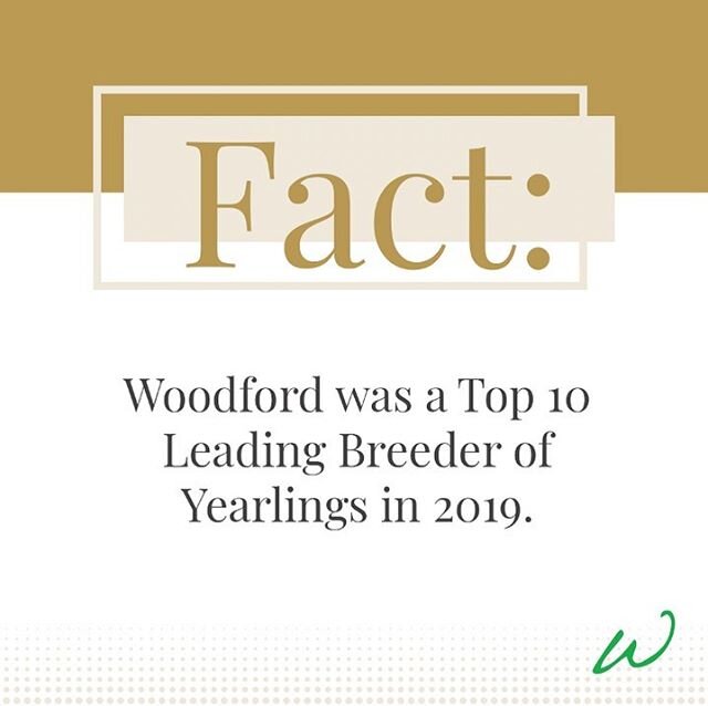 Fact: Woodford was a Top 10 Leading Breeder of Yearlings in 2019 By Gross, according to @thebloodhorse. 📸 Curlin - Carolina Cotton filly sold to Lothenbach Stables

#WoodfordEdge #YearinReview
