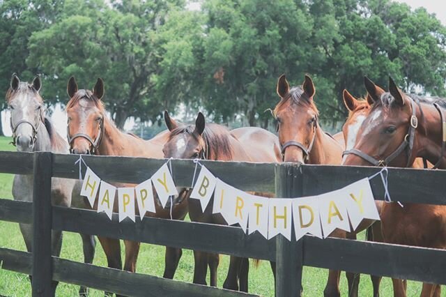✨Happy New Year! ✨

Also, Happy Birthday to all of our Woodford Thoroughbreds.

After a spectacular 2019, we can't wait to see what 2020 holds!