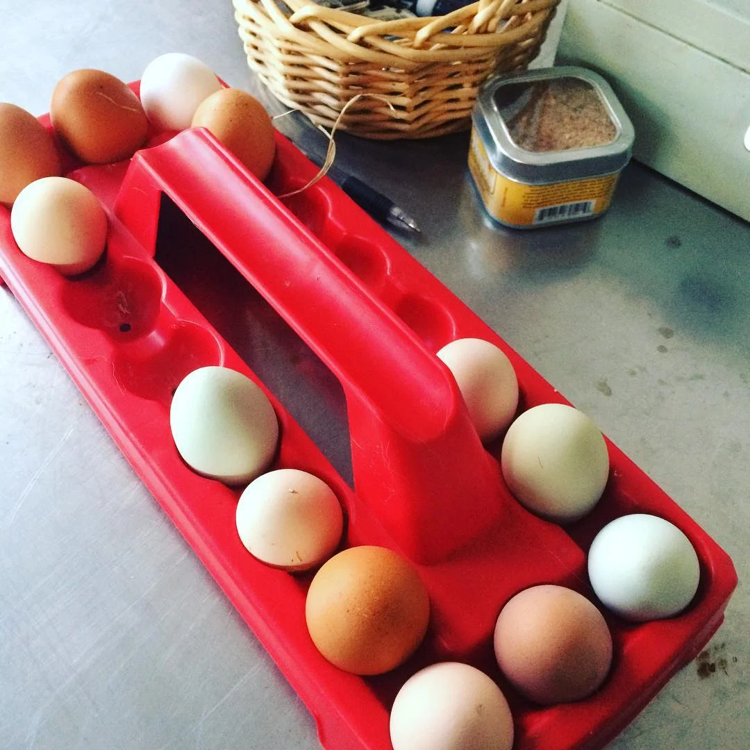 eggs.jpg