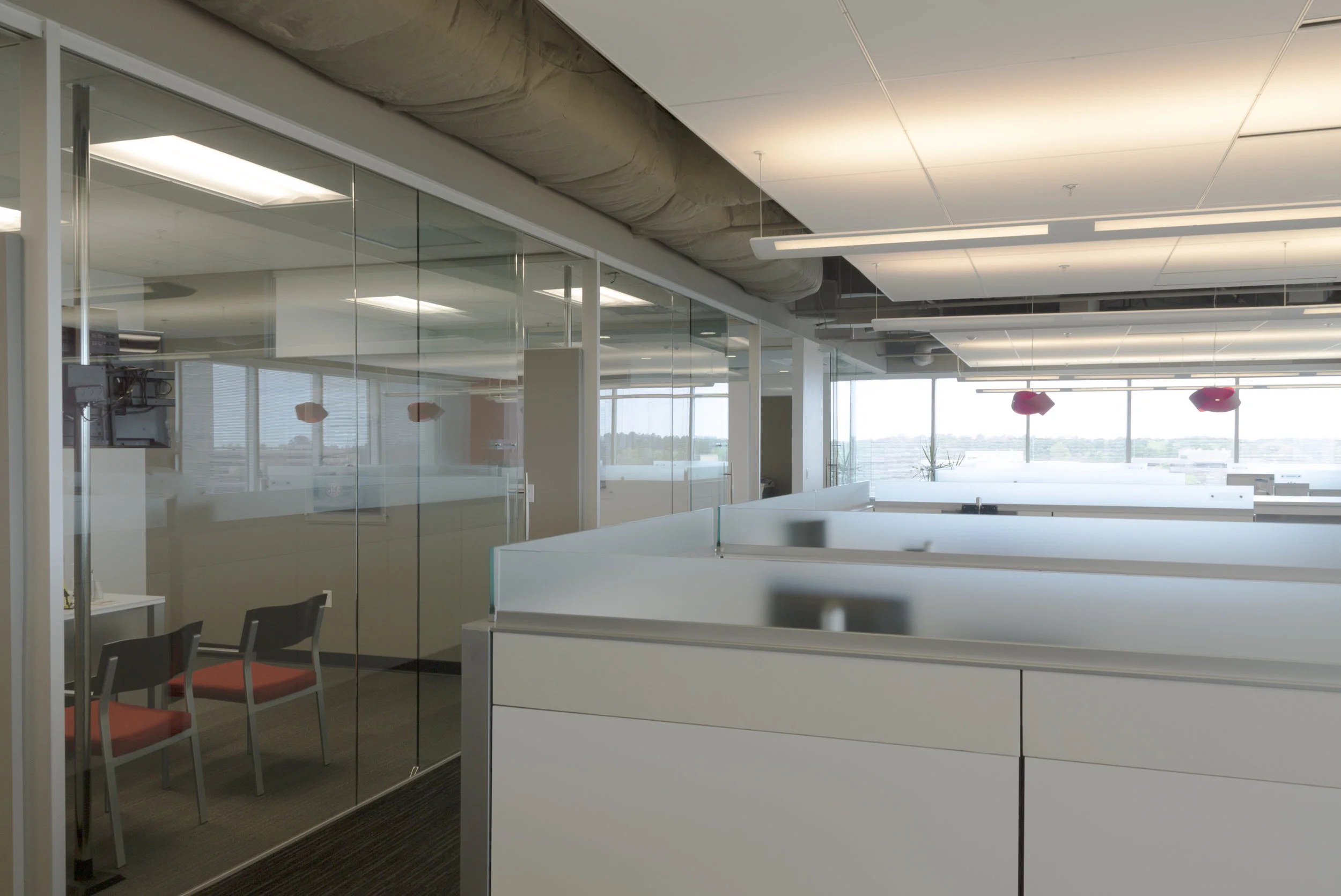 IMG_0450.jpg