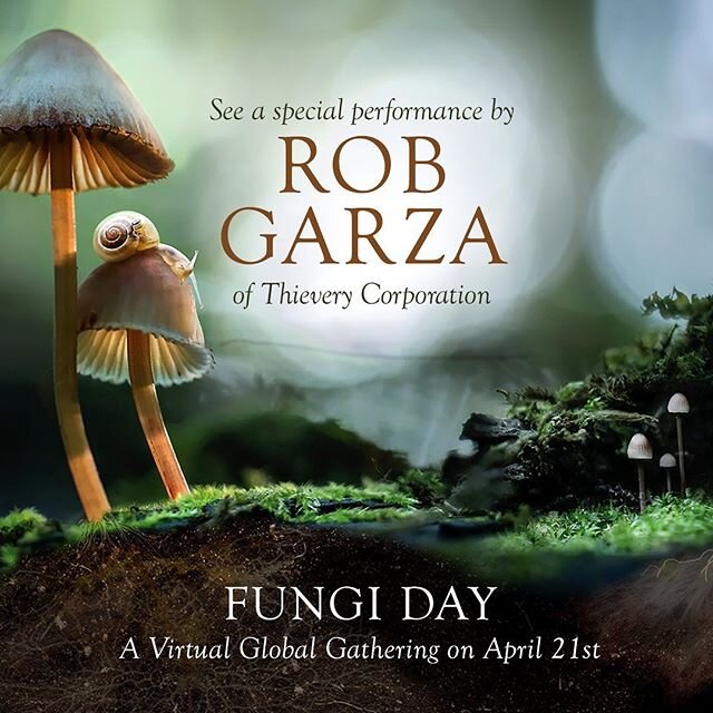 Celebrating #EarthDay a day early by supporting @FantasticFungi and the #FungiDay event. Tune in at 3:30pm PT to catch a livestream performance. Link in my story.
.
@LouieSchwartzberg directed an amazing film that breaks down just how important mushr