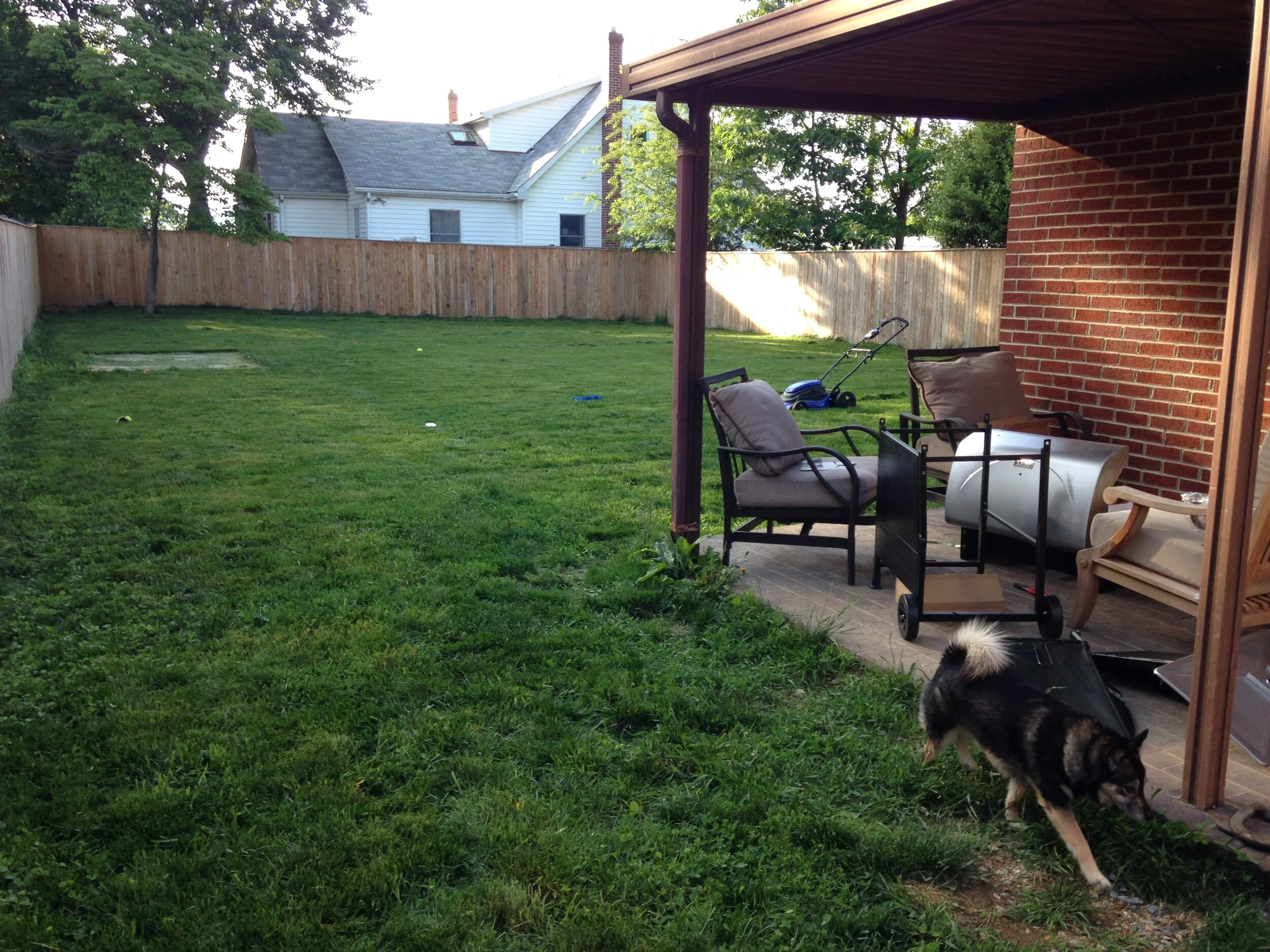  A clean slate - just an ugly little brick side patio when I moved in. 