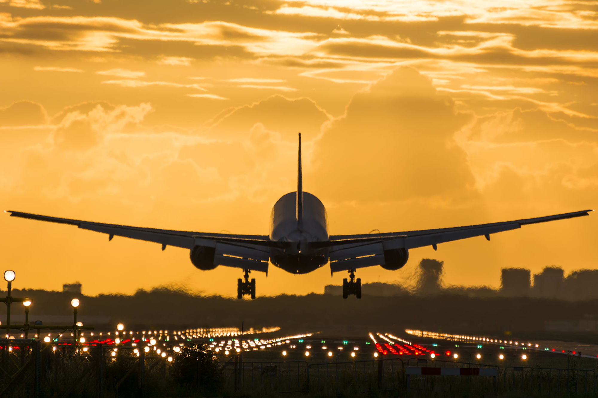 International Christmas Party Band For Hire