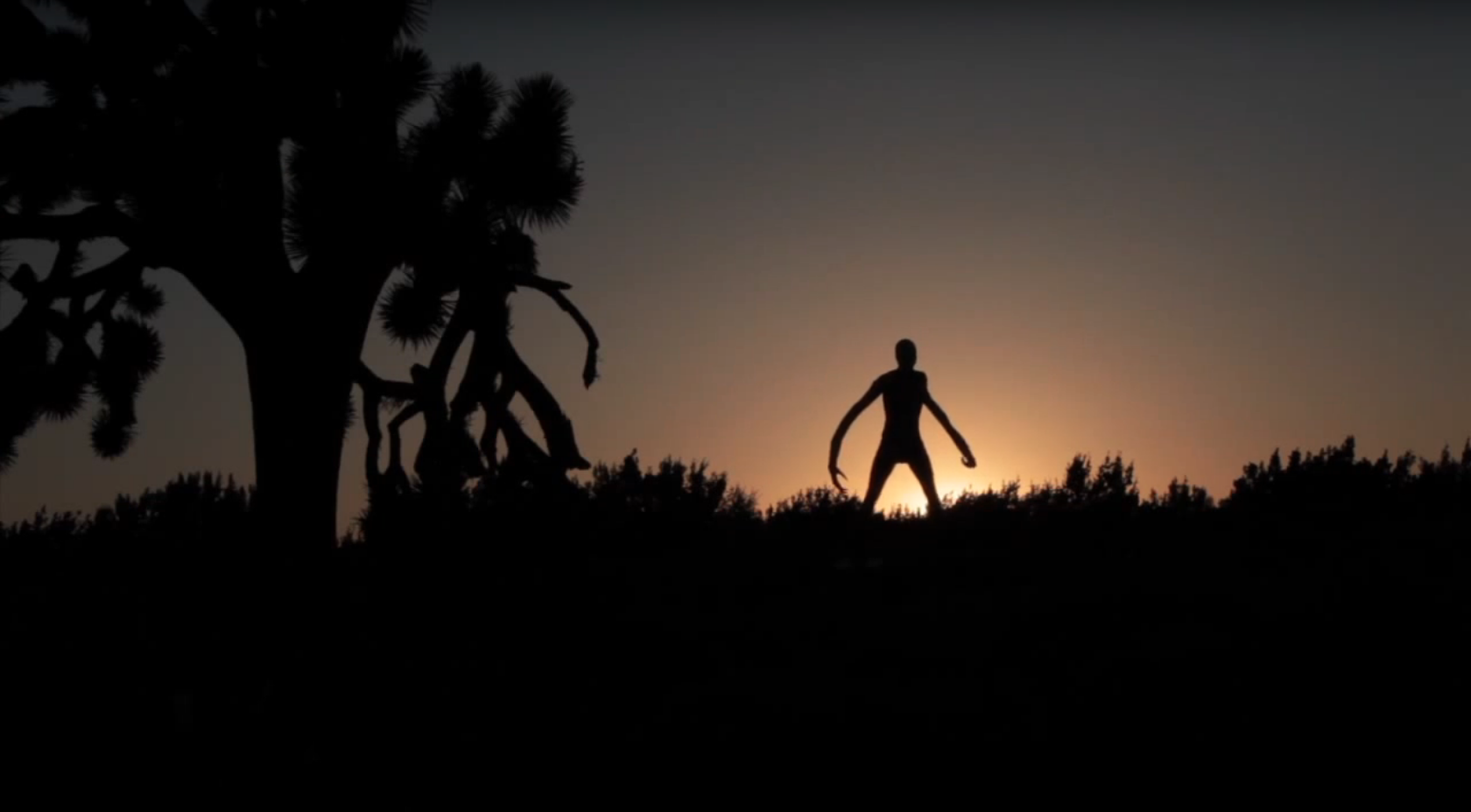 CCM - Short Film 