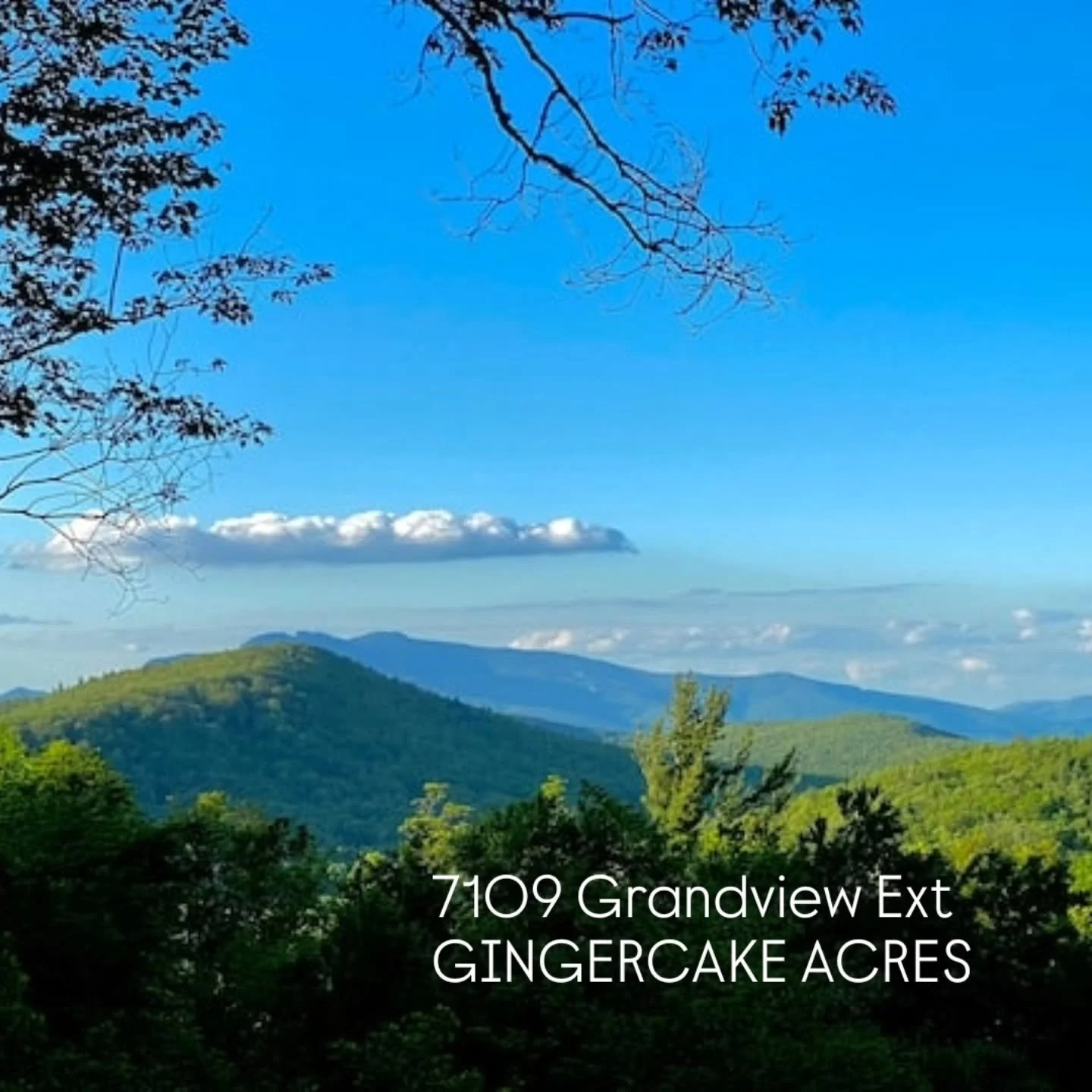 You can't buy happiness, but you can buy this view 🌟

7109 Grandview Ext ▪︎ Gingercake Acres ▪︎ 1.97 acres ▪︎ Jonas Ridge NC ▪︎ Link in bio ➡️

#blueridgemountains 
#burkecountync 
#westernnorthcarolina 
#wncmountains 
#wncrealestate 
#logcabin 
#ca