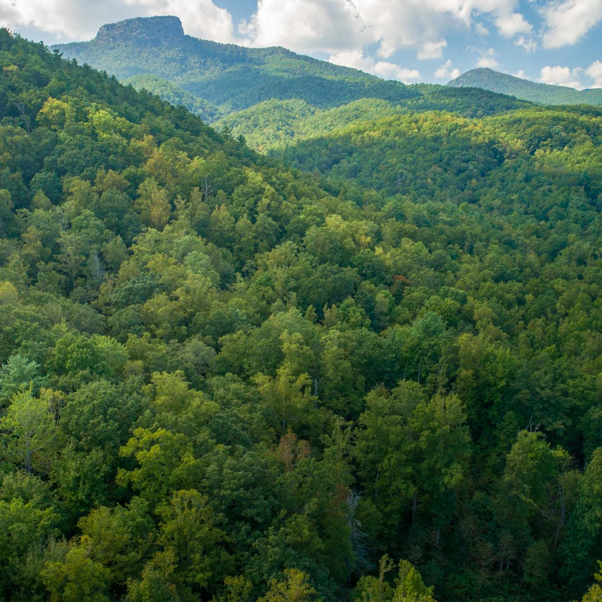   Buy Lake or Mountains  