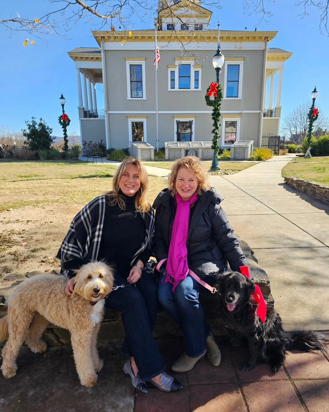 May your Christmas sparkle and your New Year shine 🌟

#doggydogchristmas