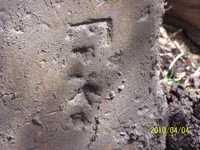 other evidence 3.jpg