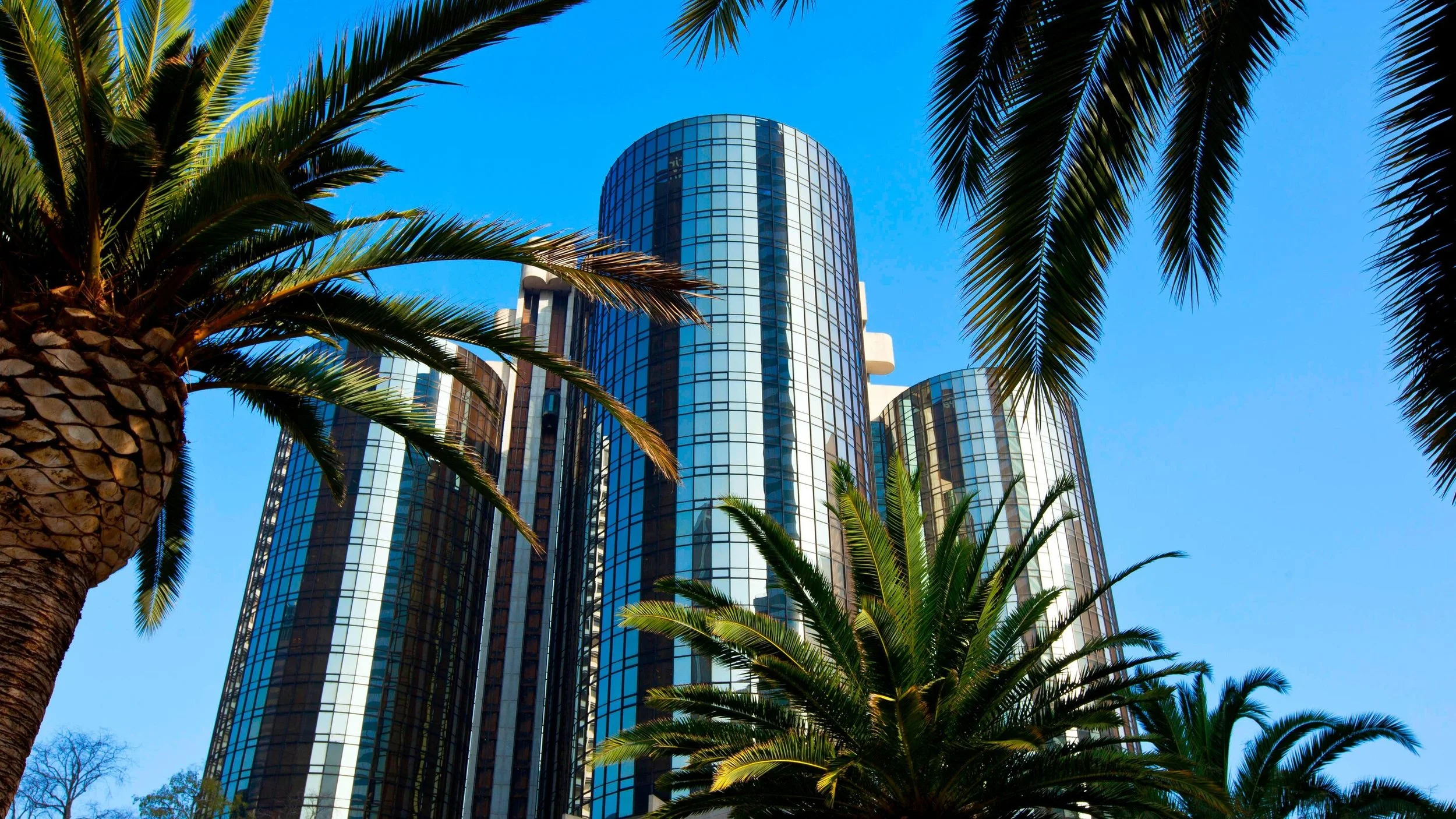 CARAS Webinar: CARAS Program Overview and Workshop, How to Write an Alt-Sex Presentation Proposal that Meets APA Continuing Education Standards. Saturday, August 20, 2022