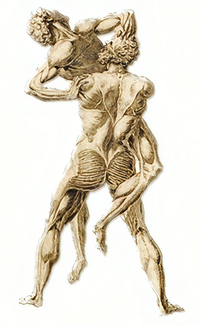CARAS Webinar: Queer Anatomies: Homoerotic Expression and Perverse Desire in the Anatomical Image, 1600-1860. Sunday, June 16, 2024