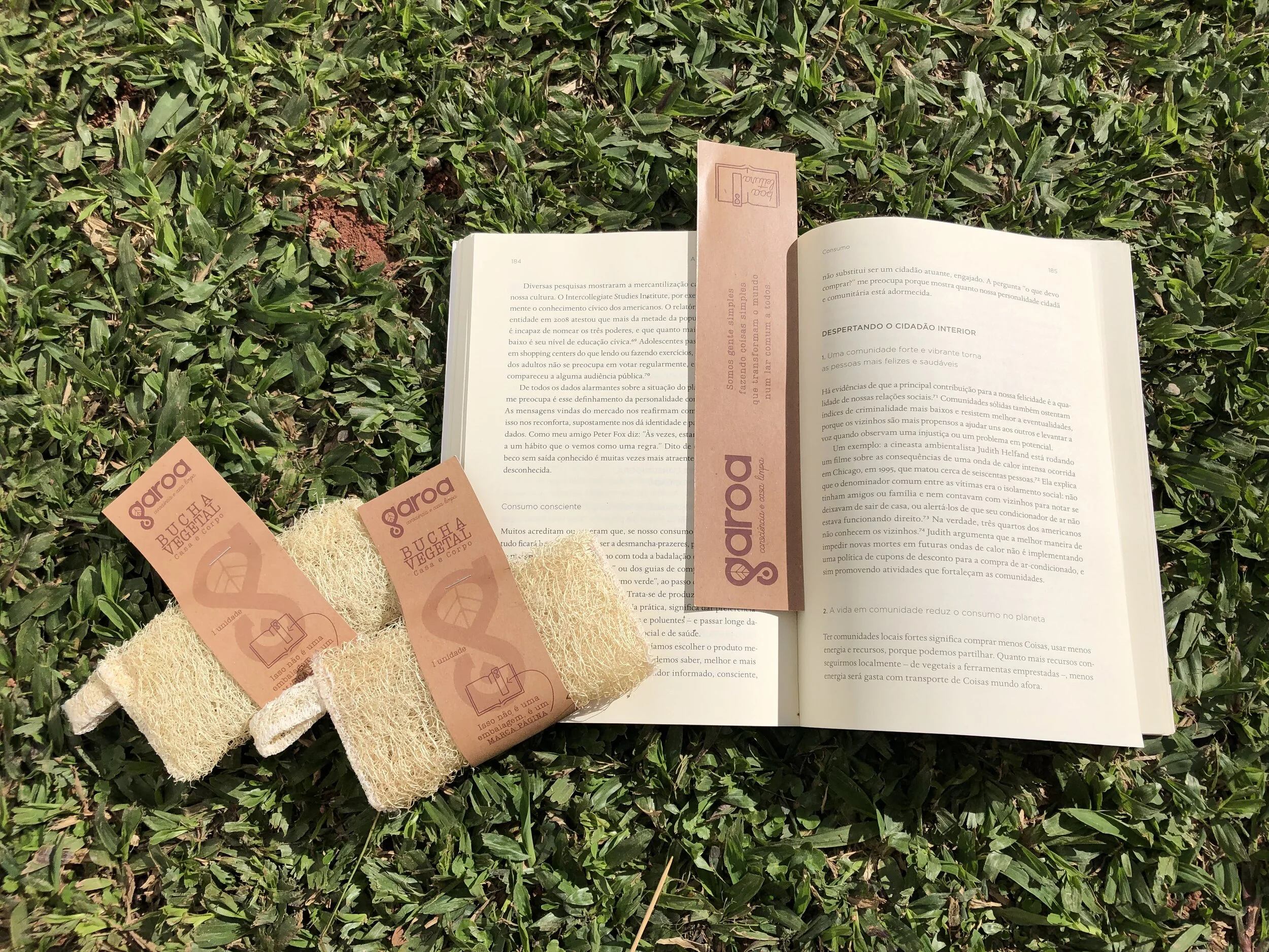Bucha vegetal: alternativa natural de esponja para limpeza