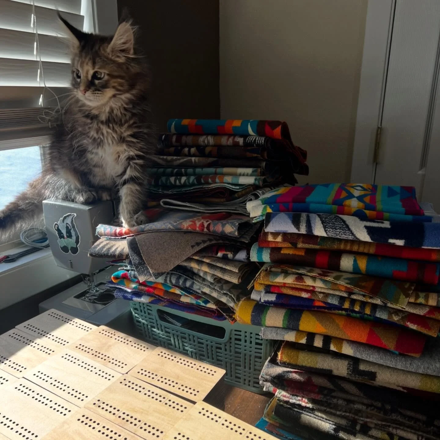 New year, new office, new kittens. Same rambling traveling cribbage boards ✨🐾

After a few weeks &ldquo;off&rdquo; through the start of the year and a workspace swap around and refresh, we&rsquo;re back to making and orders have started making their