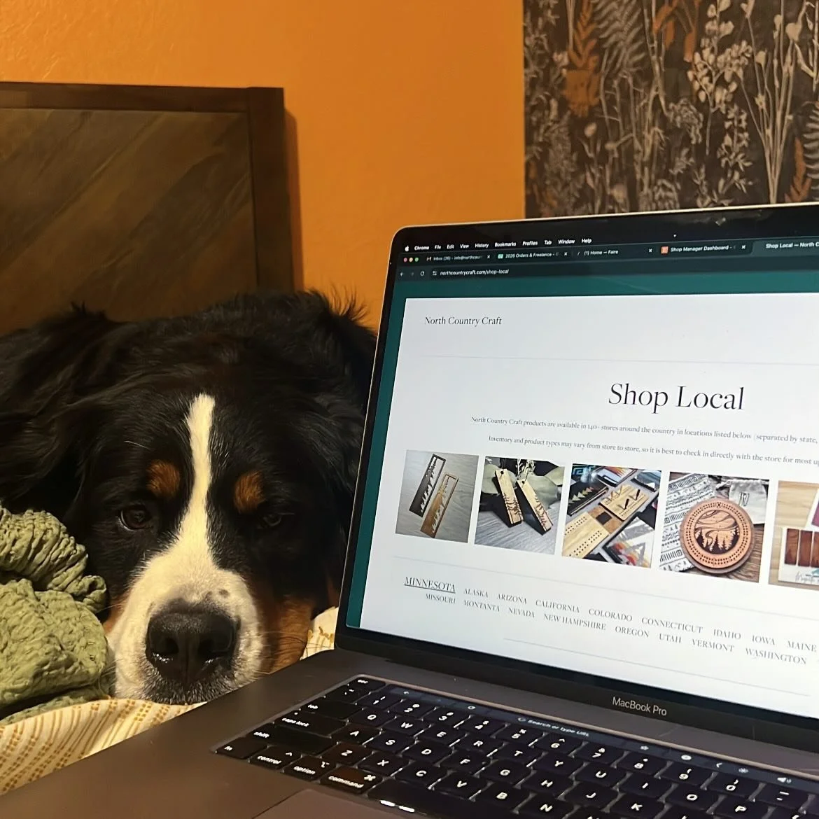 With how last year&rsquo;s Faire Summer Market essentially launched me straight into holiday season mode at the end of July and I was then booked solid up until my post-holiday season reset, I hadn&rsquo;t touched my website since last summer 🫣

It 