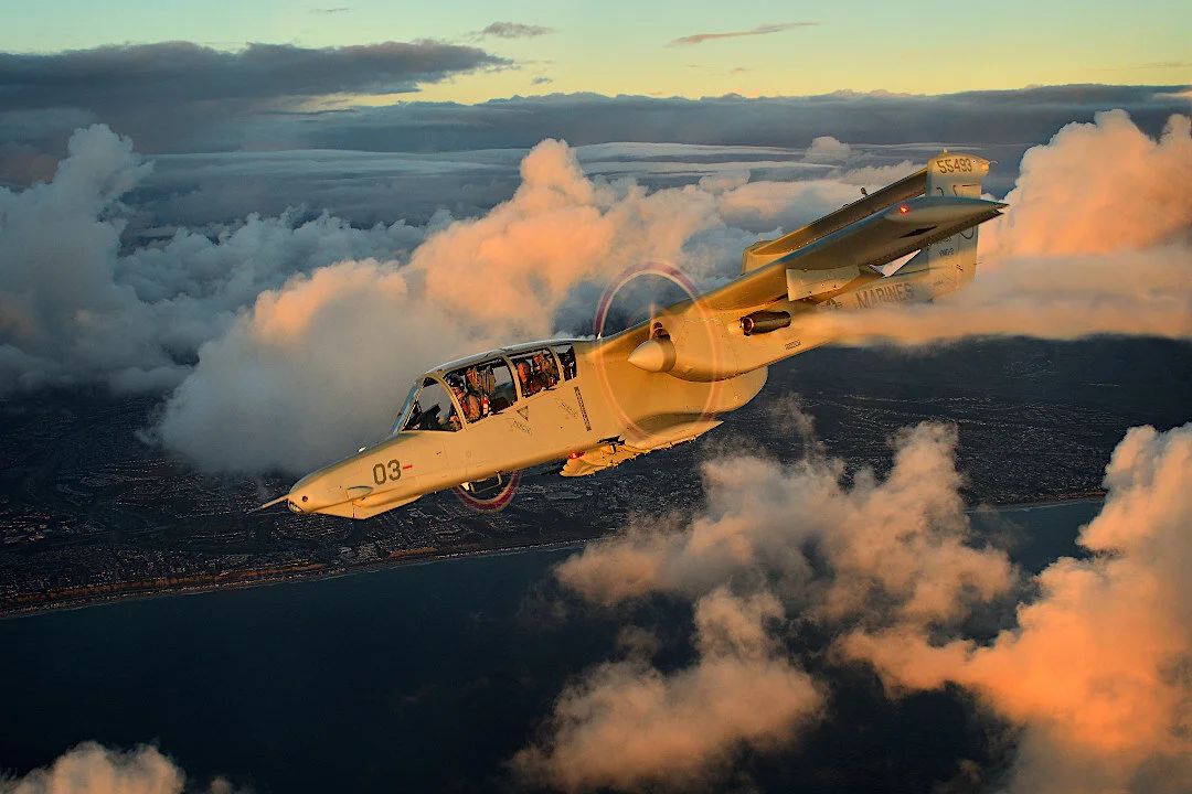Bronco OVer the Coastline