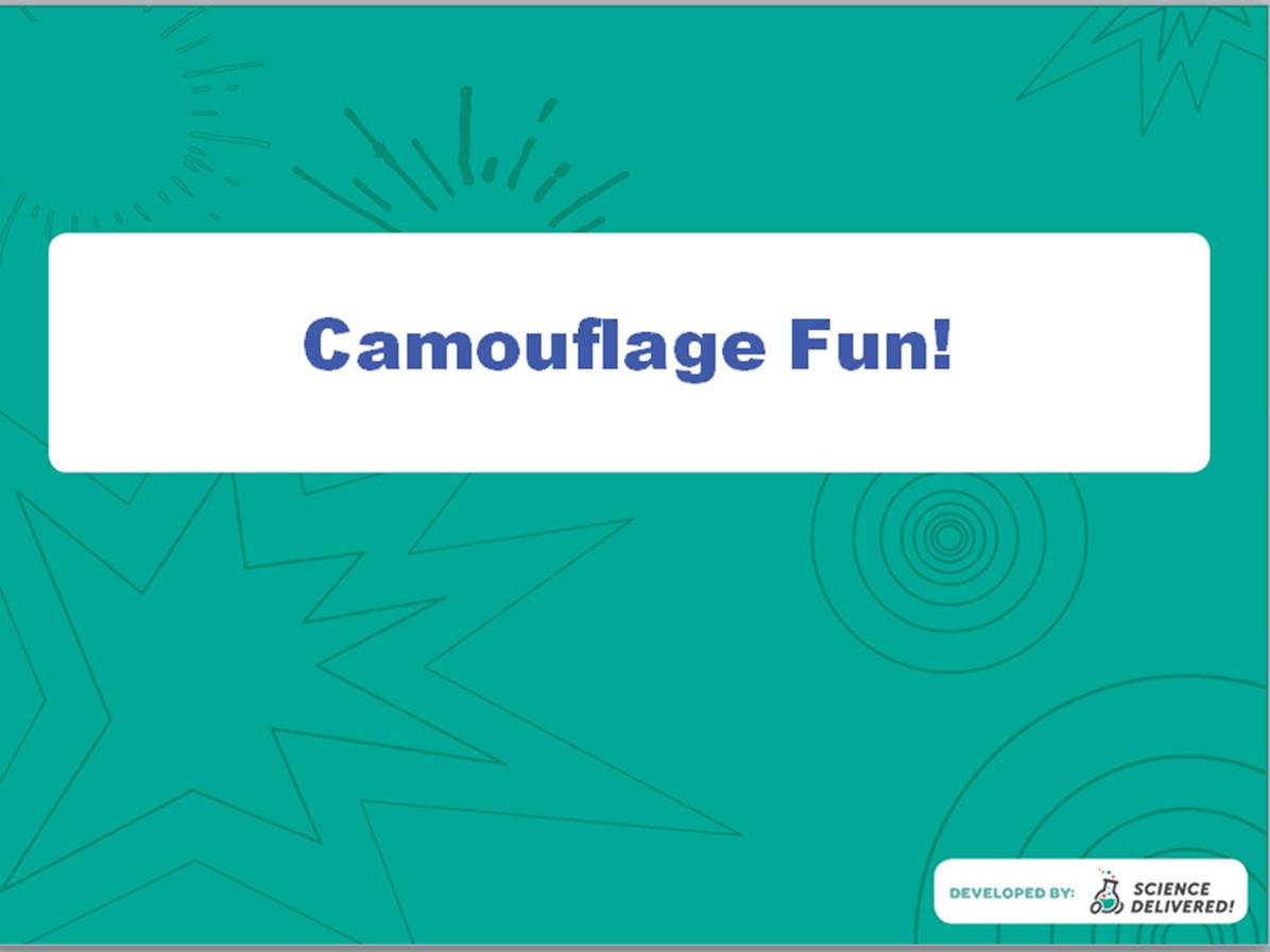 camouflage powerpoint template