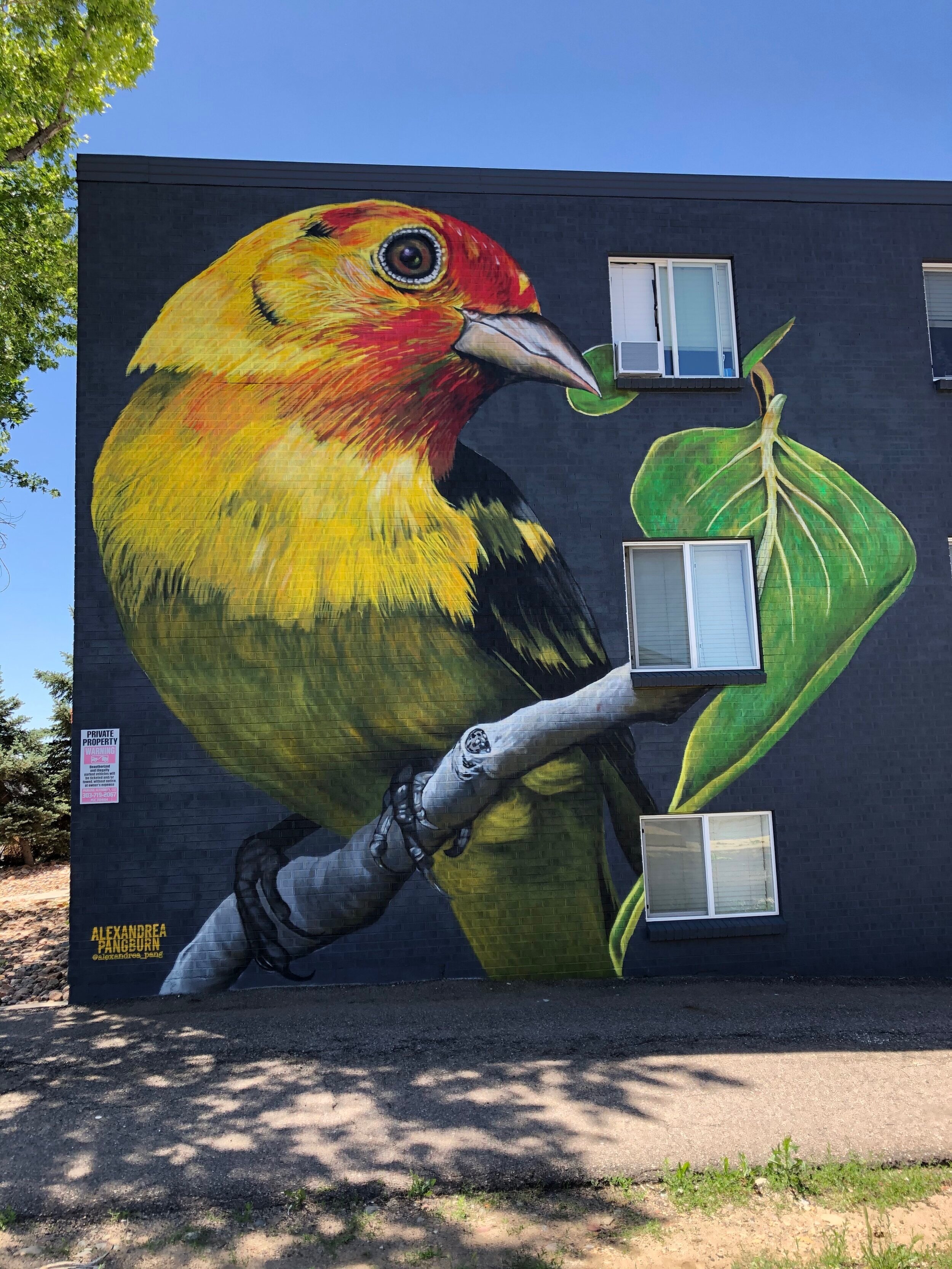 72nd and Hooker Street. Westminster, CO. June 2020.