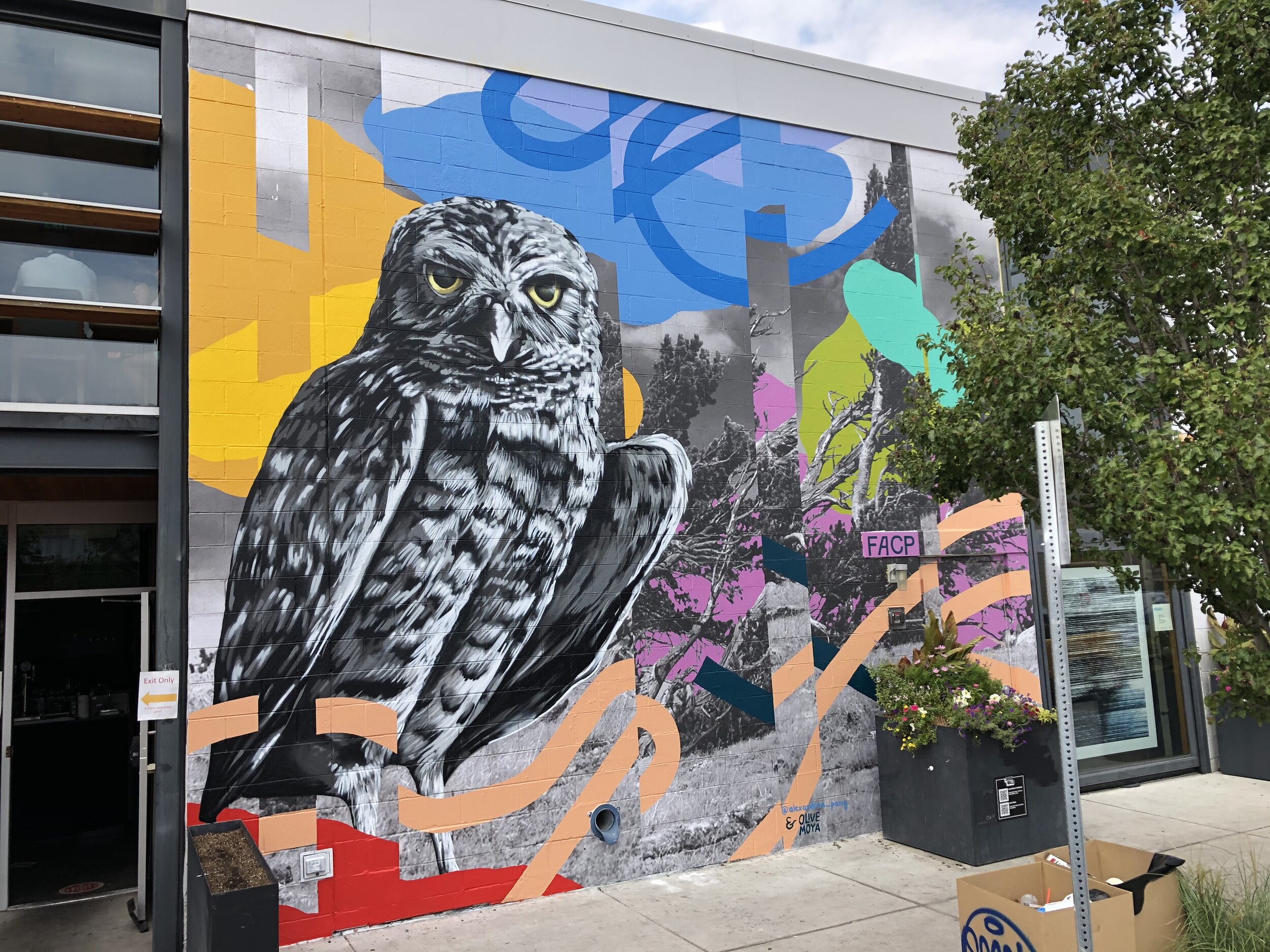 Collaboration with Olive Moya for CRUSH Walls 2020. 26th + Larimer; Denver, CO. September 2020.