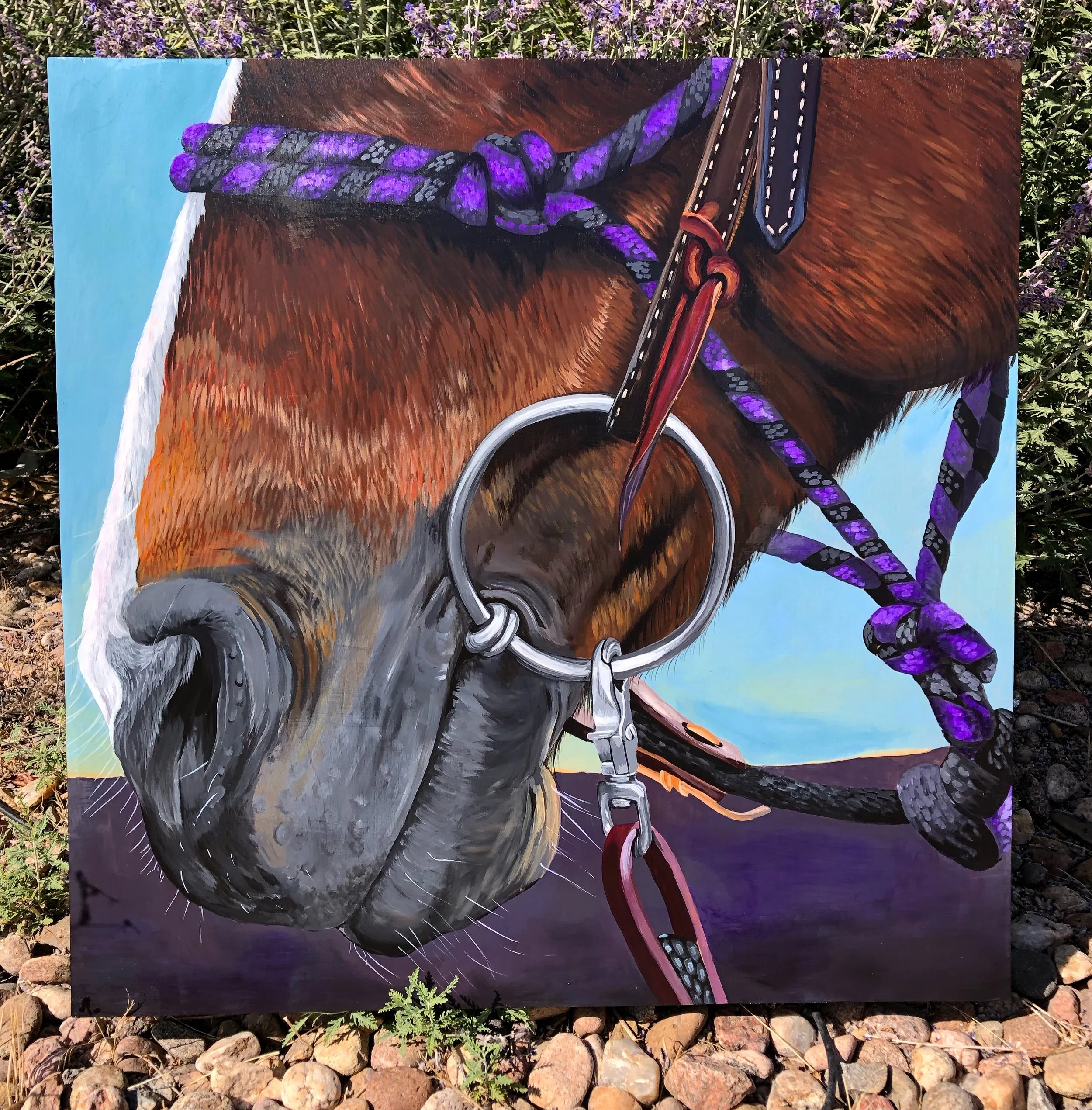 "Sunset Snaffle"