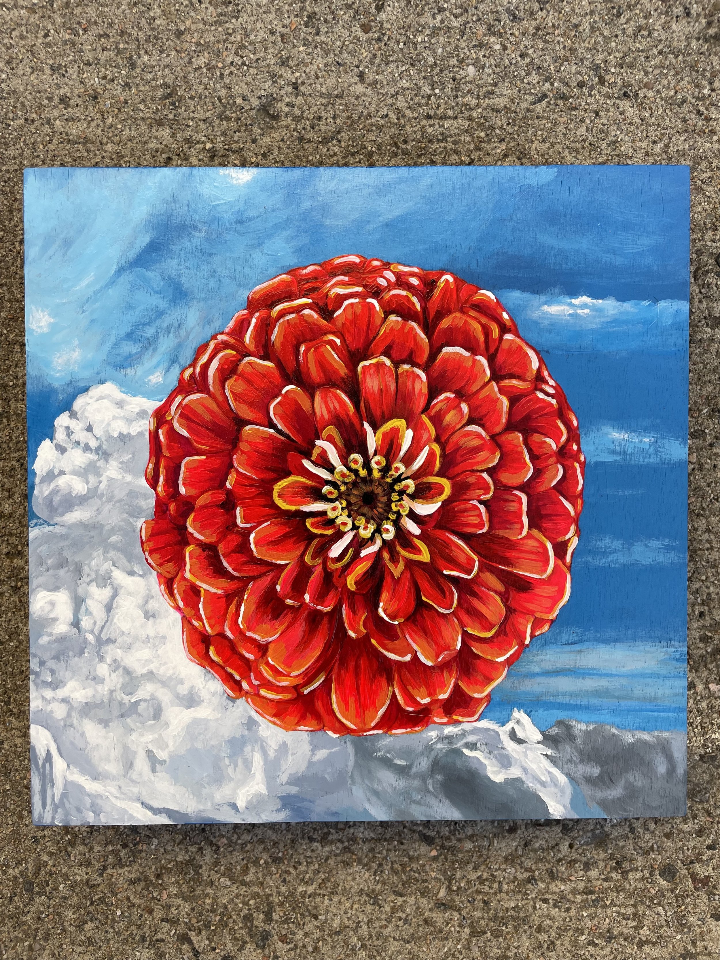 Zinnia Sky