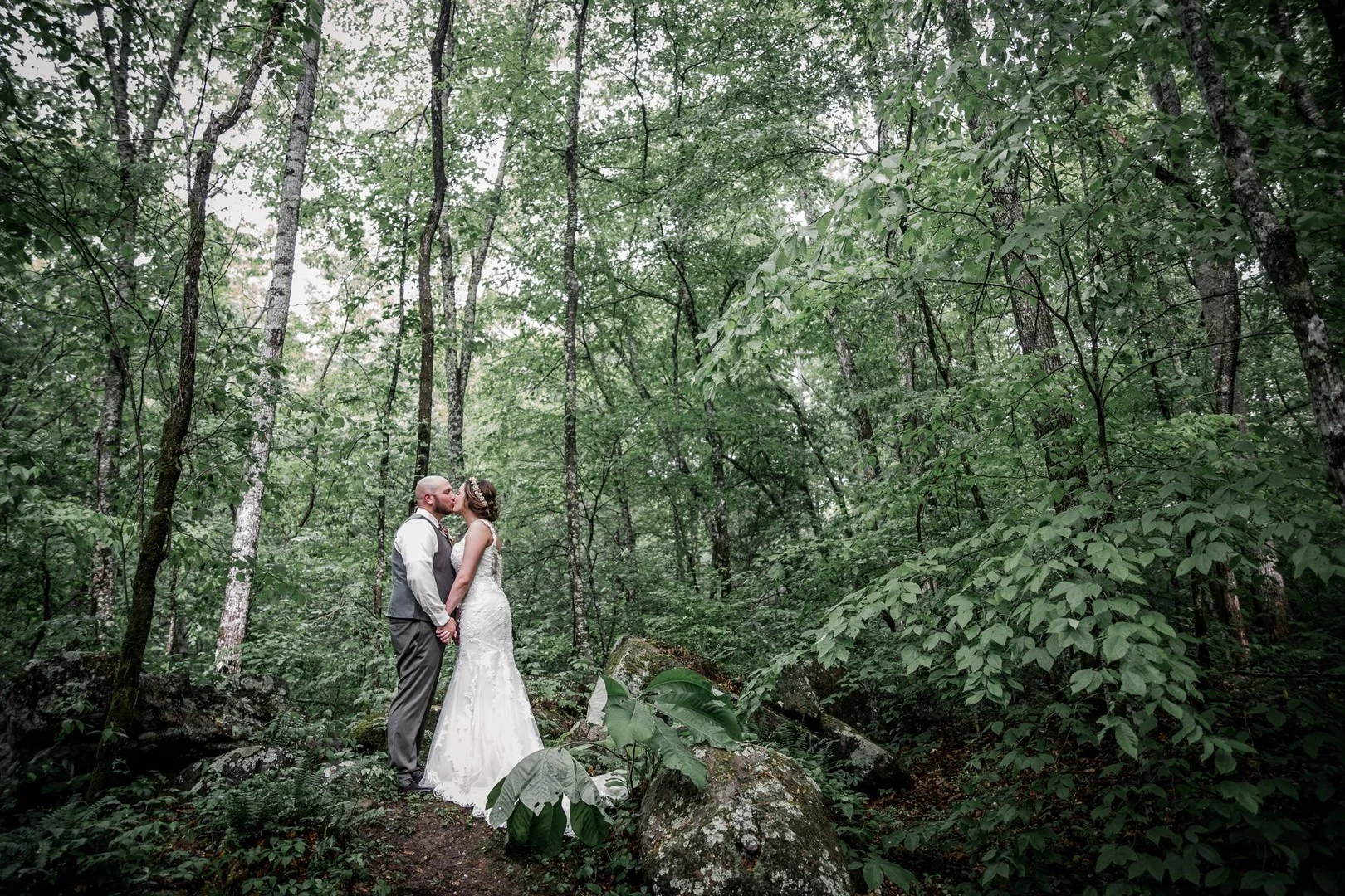 Intimate, forest wedding at Chapel in the Hollow in Seymour, TN