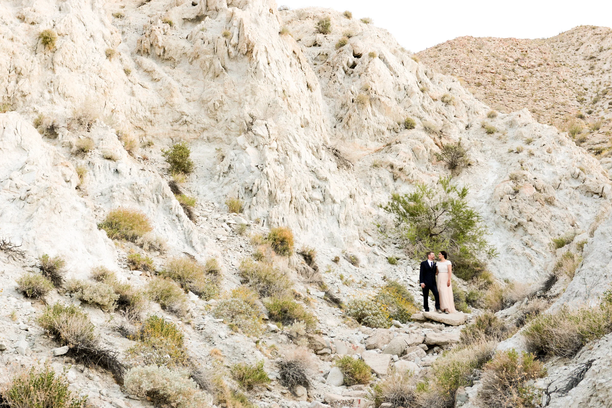 Intimate, desert wedding at Agua Caliente County Park in Julian, CA