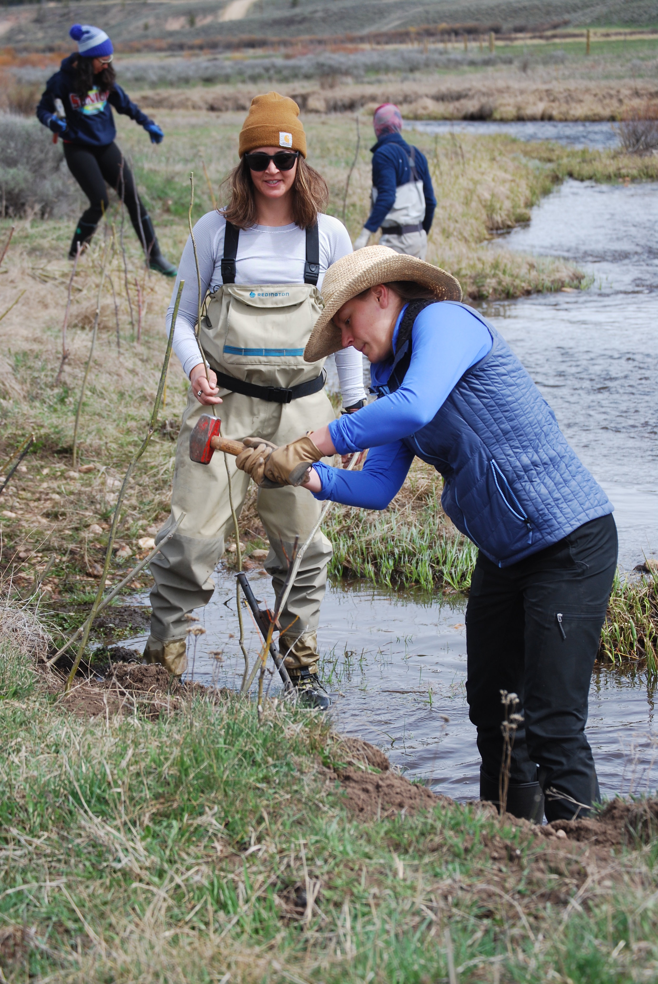 Women planting.jpg