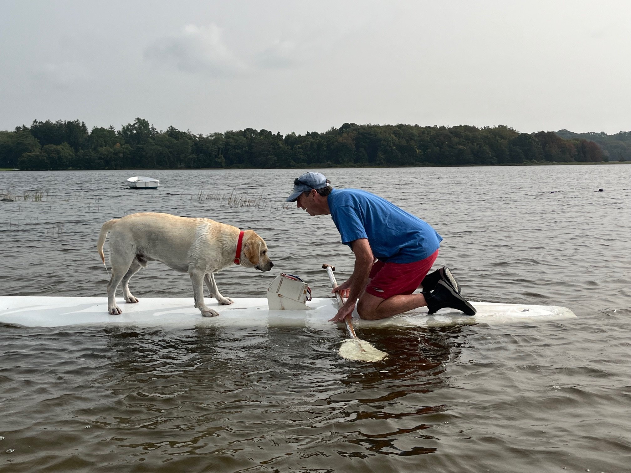 Phil and Bowen paddleboard 2.jpg
