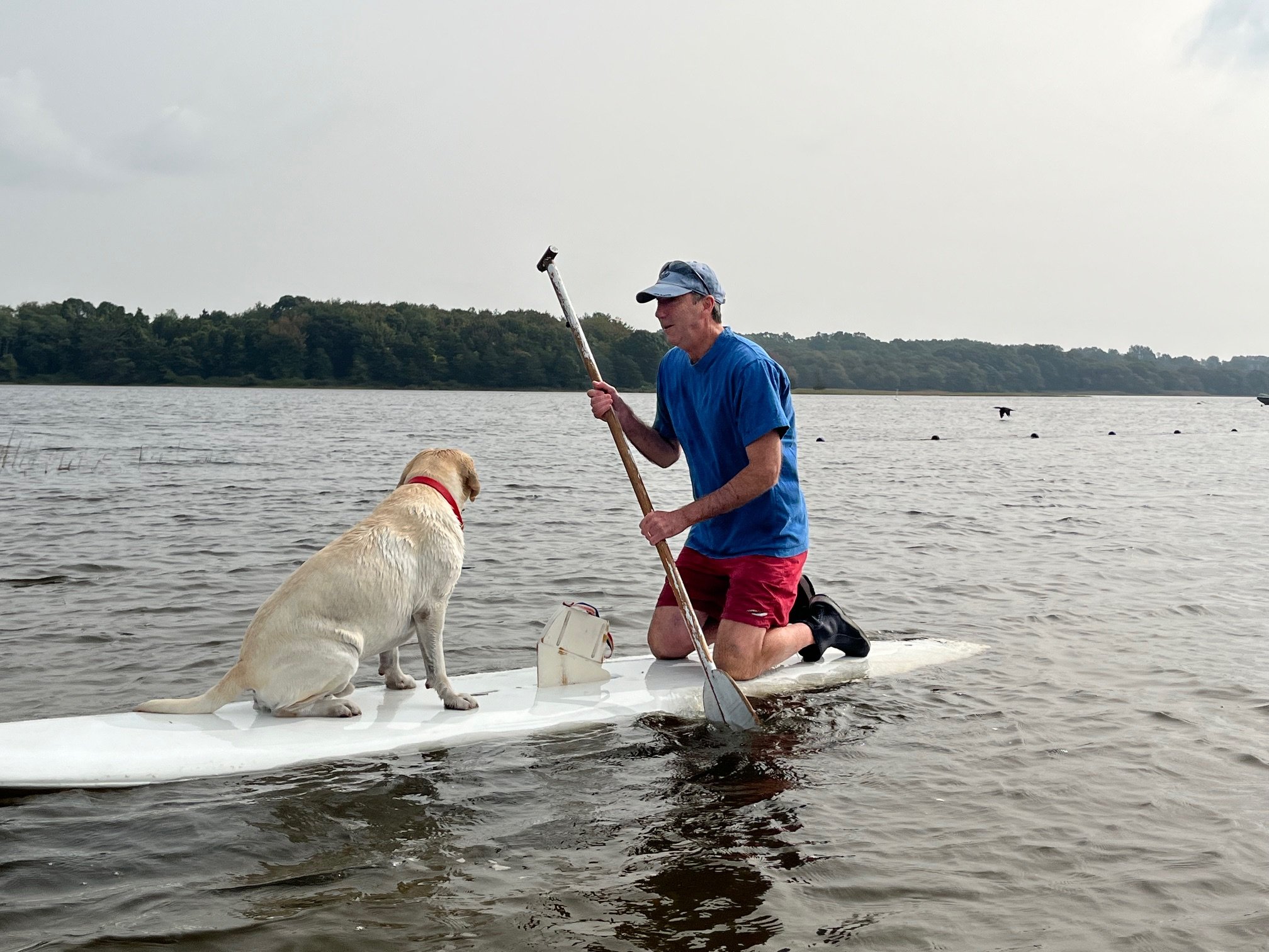 Phil and Bowen paddleboard lesson 3.jpg