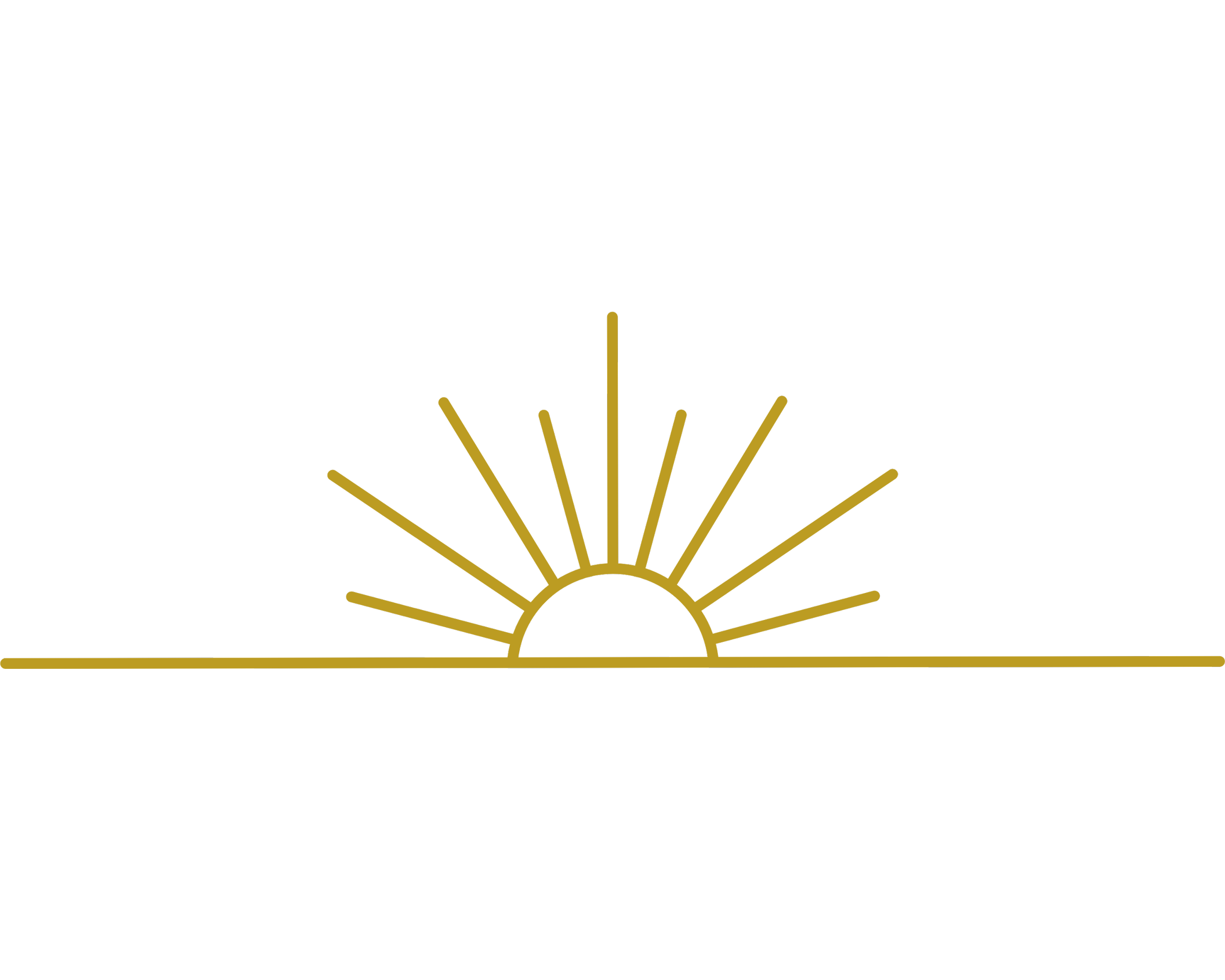 LSH Logo_Sun.png