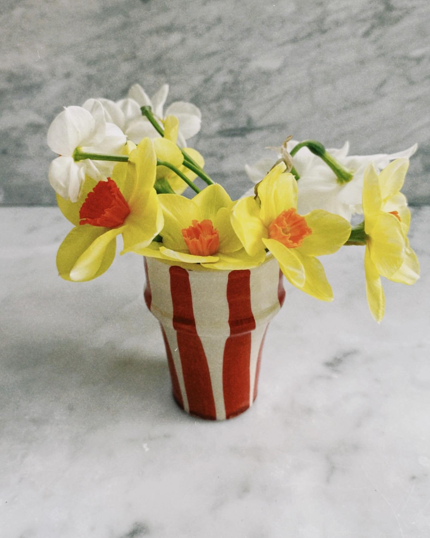 Moroccan cup from @gracieechadd with a mixture of home grown flowers, some from Waitrose and a narcissus which was a casualty from the park and some vigorous stick play 🫣. #springthing #narsissus