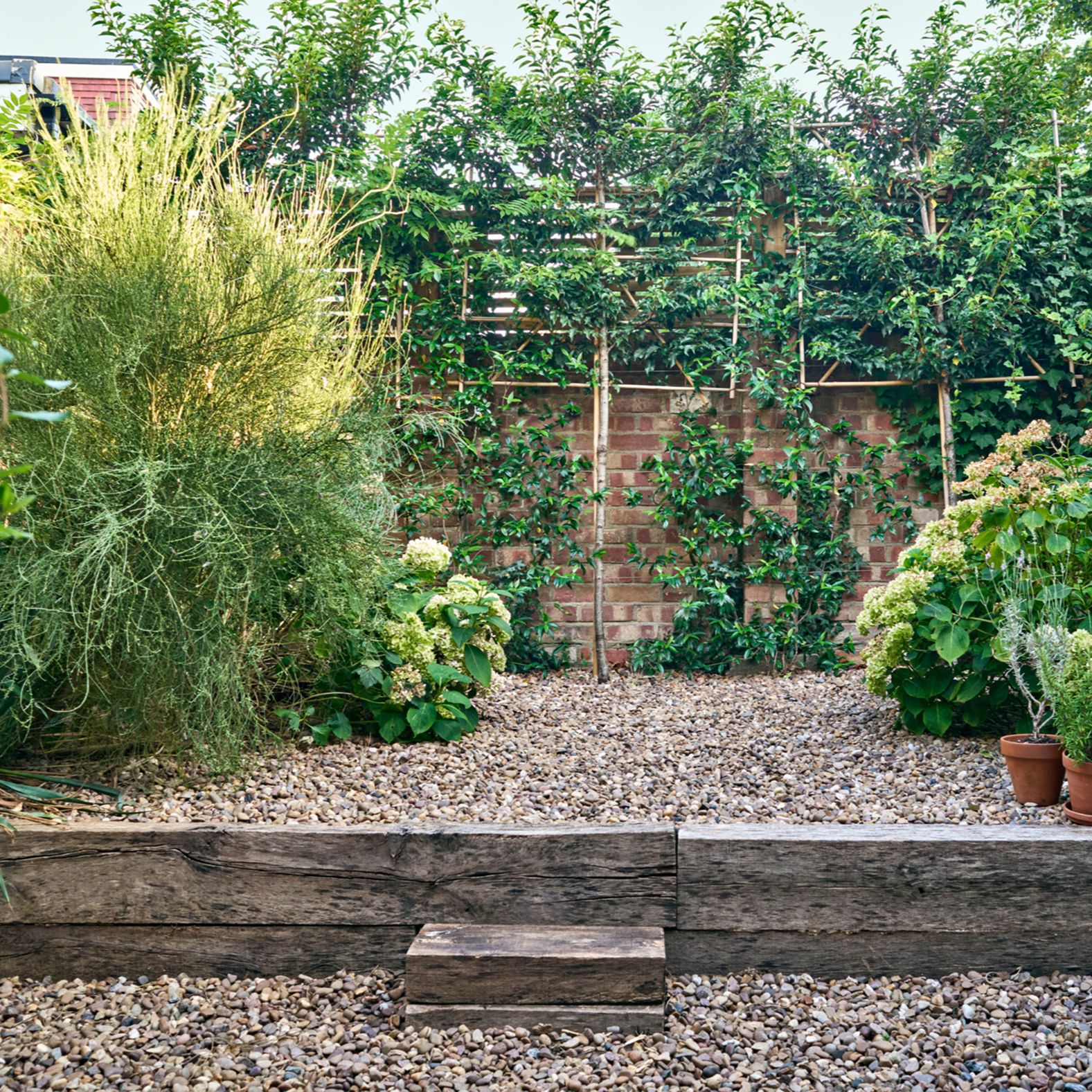 Privacy Without Losing the Light: The Finsbury Park Garden