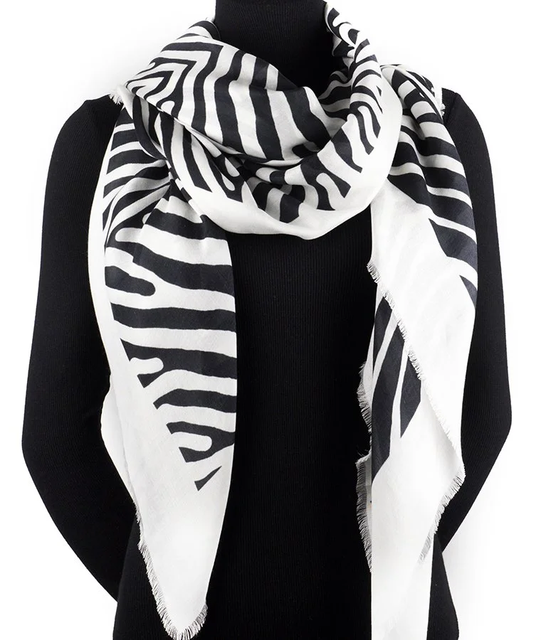 Zebra 2_1026209.jpg